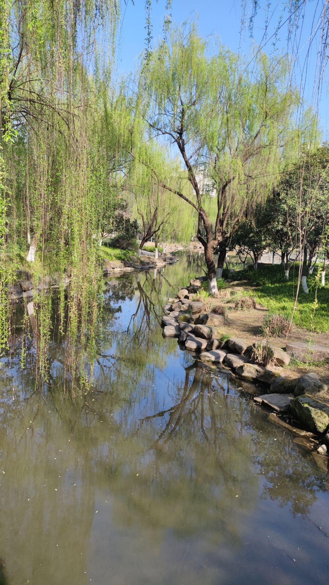 同心文化公园旅行图片 2