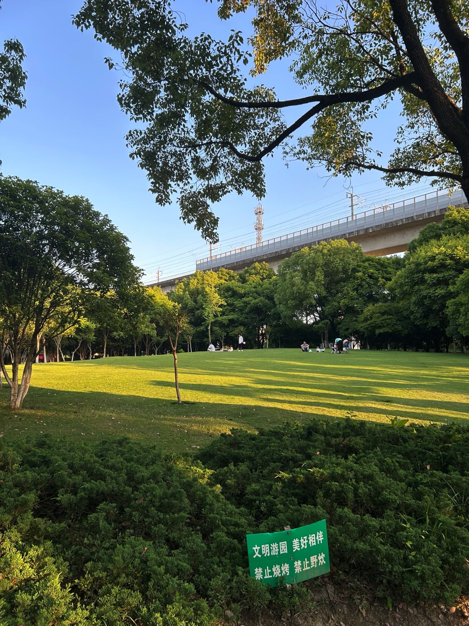 同心文化公园旅行图片 3