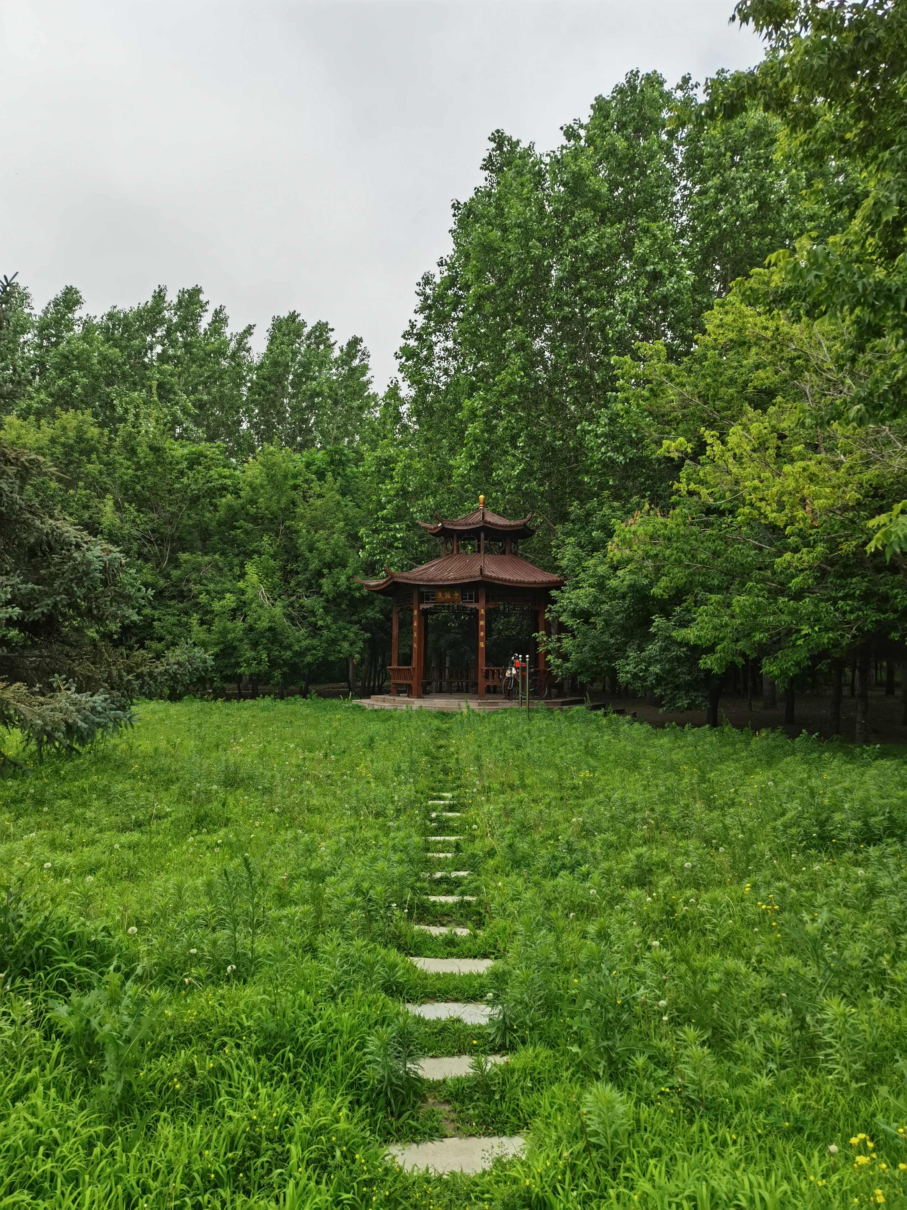 广瀚公园旅行图片 2
