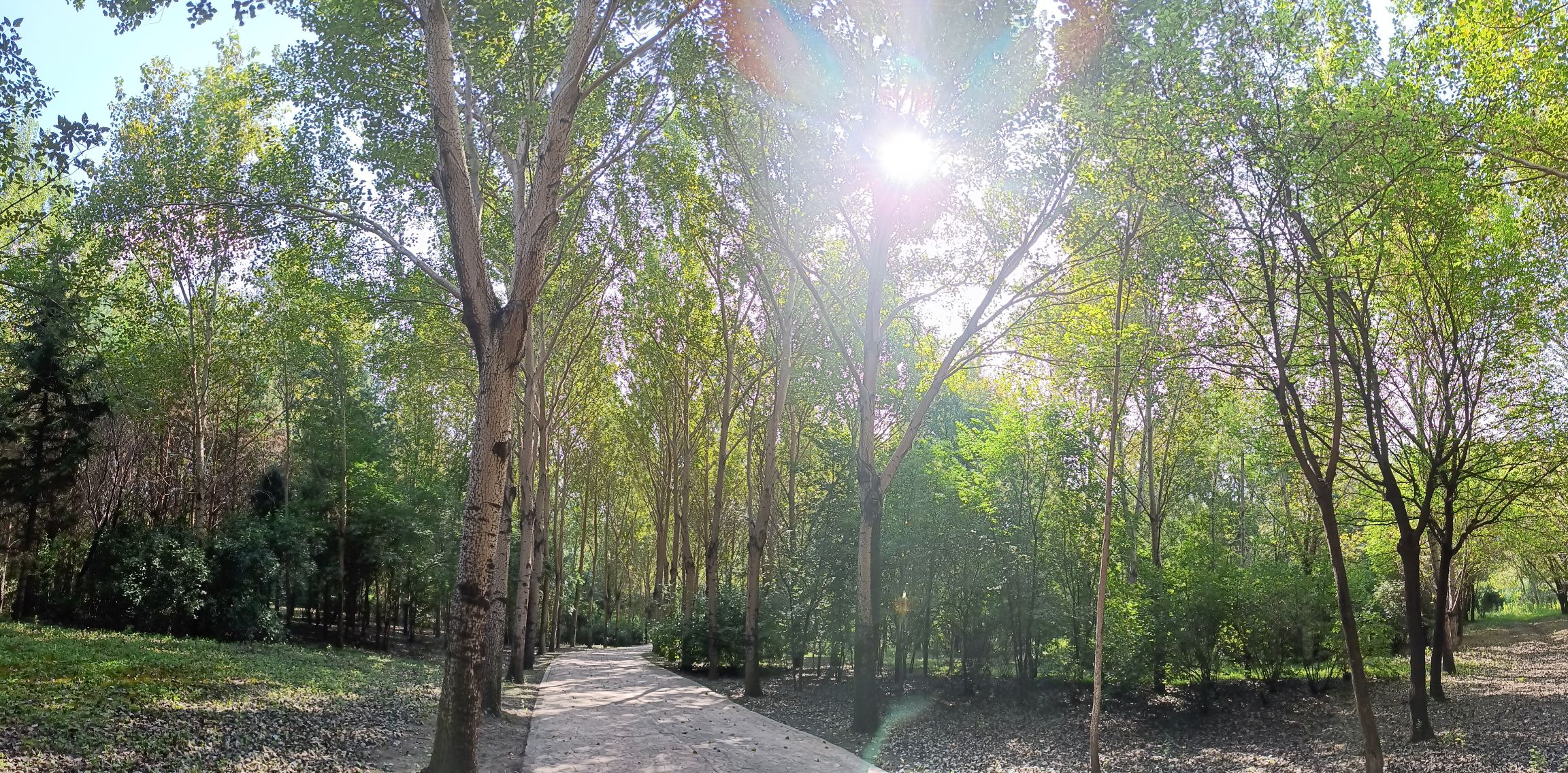广瀚公园旅行图片 2