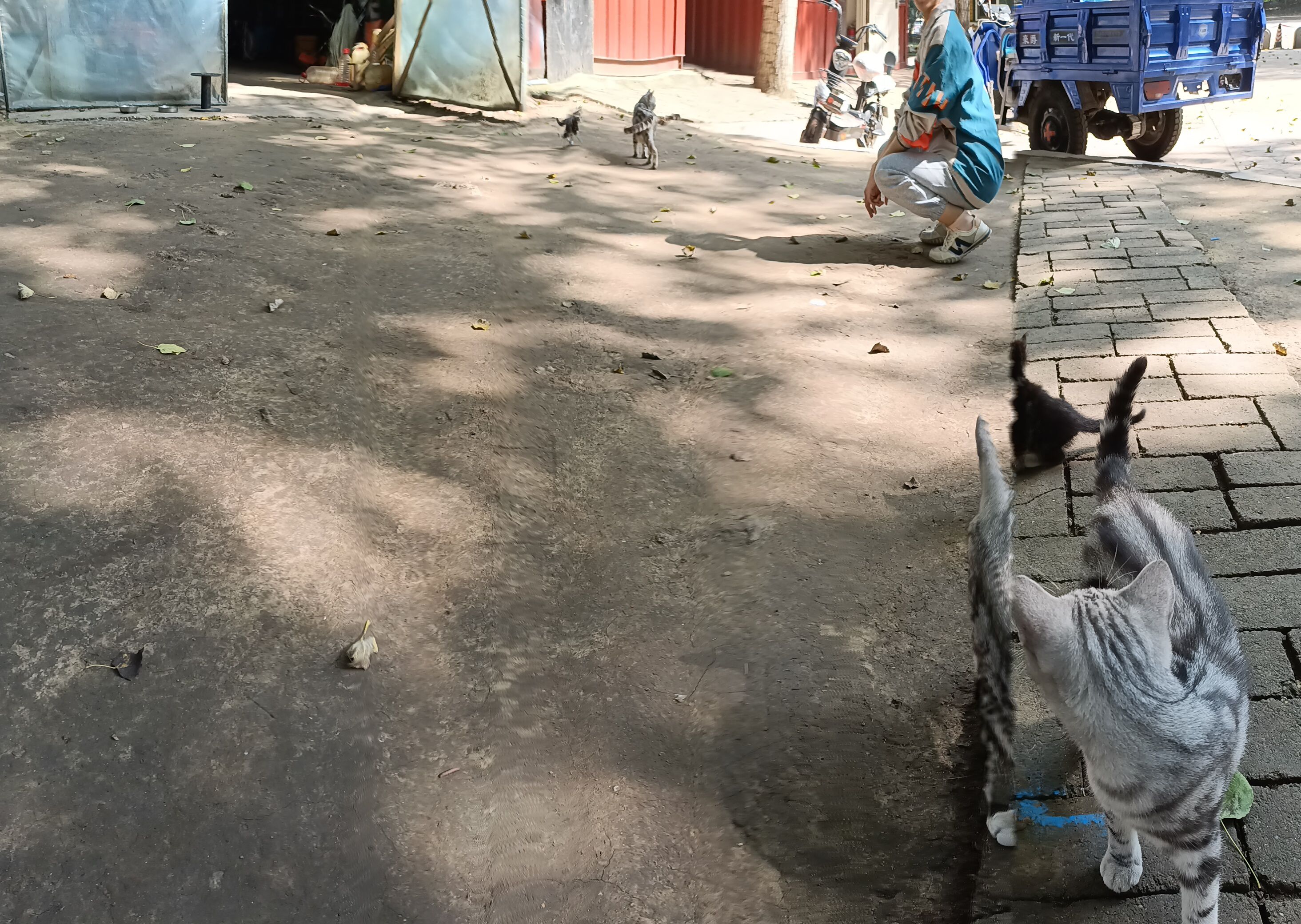 广瀚公园旅行图片 1
