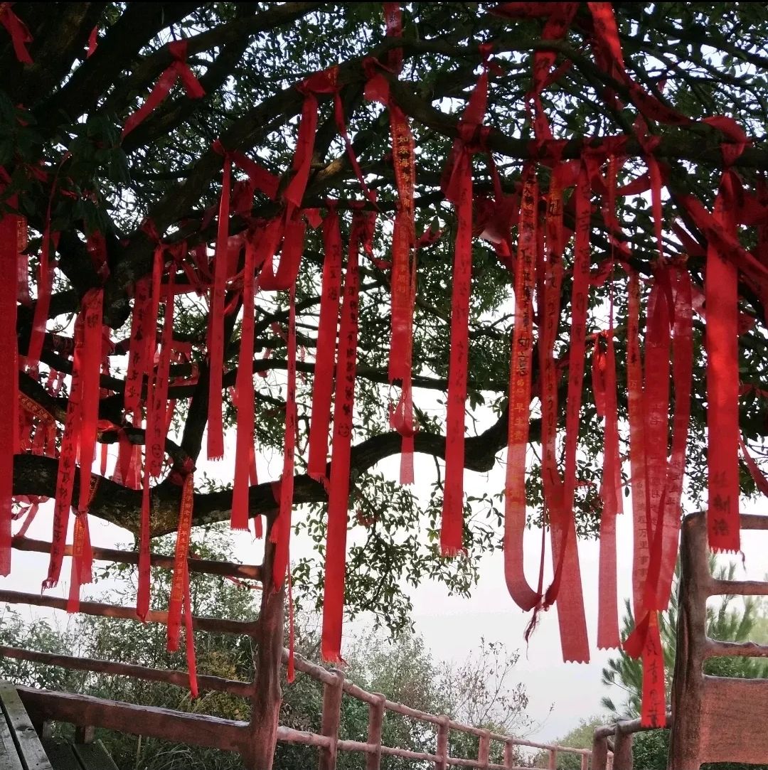 黄岩生态旅游区旅行图片 2