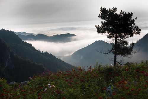 黄岩生态旅游区