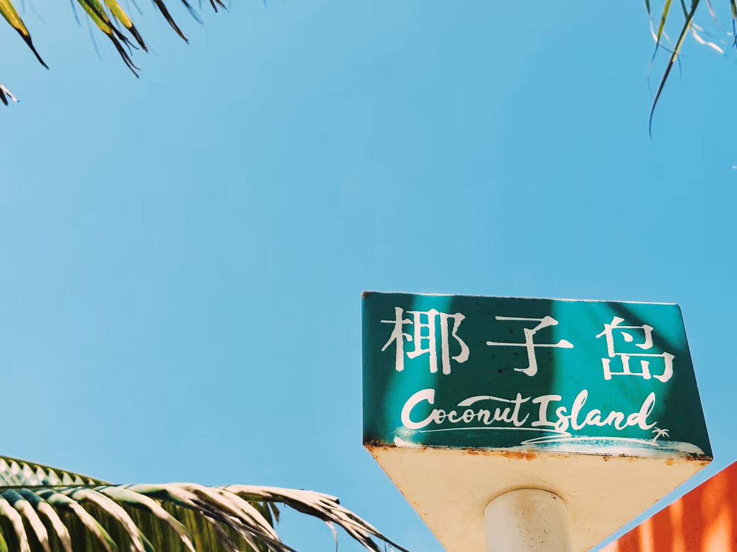 椰子岛