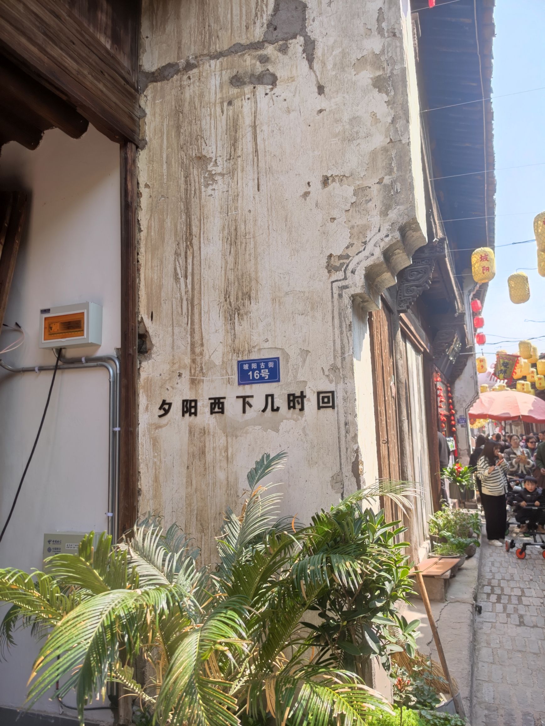 岭下坡阳古街旅行图片 2