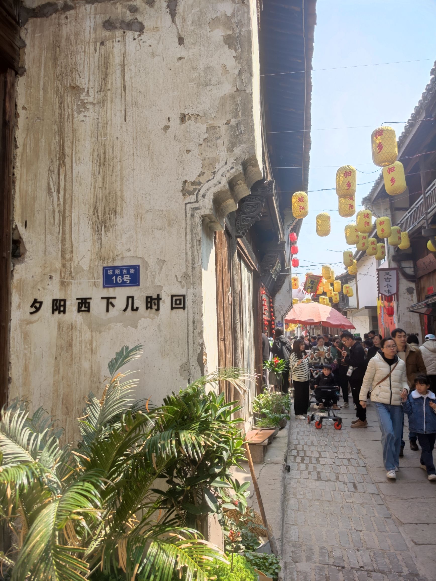 岭下坡阳古街旅行图片 3