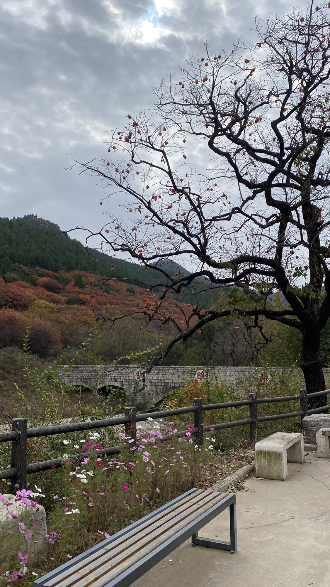 官护山景区旅行图片 3