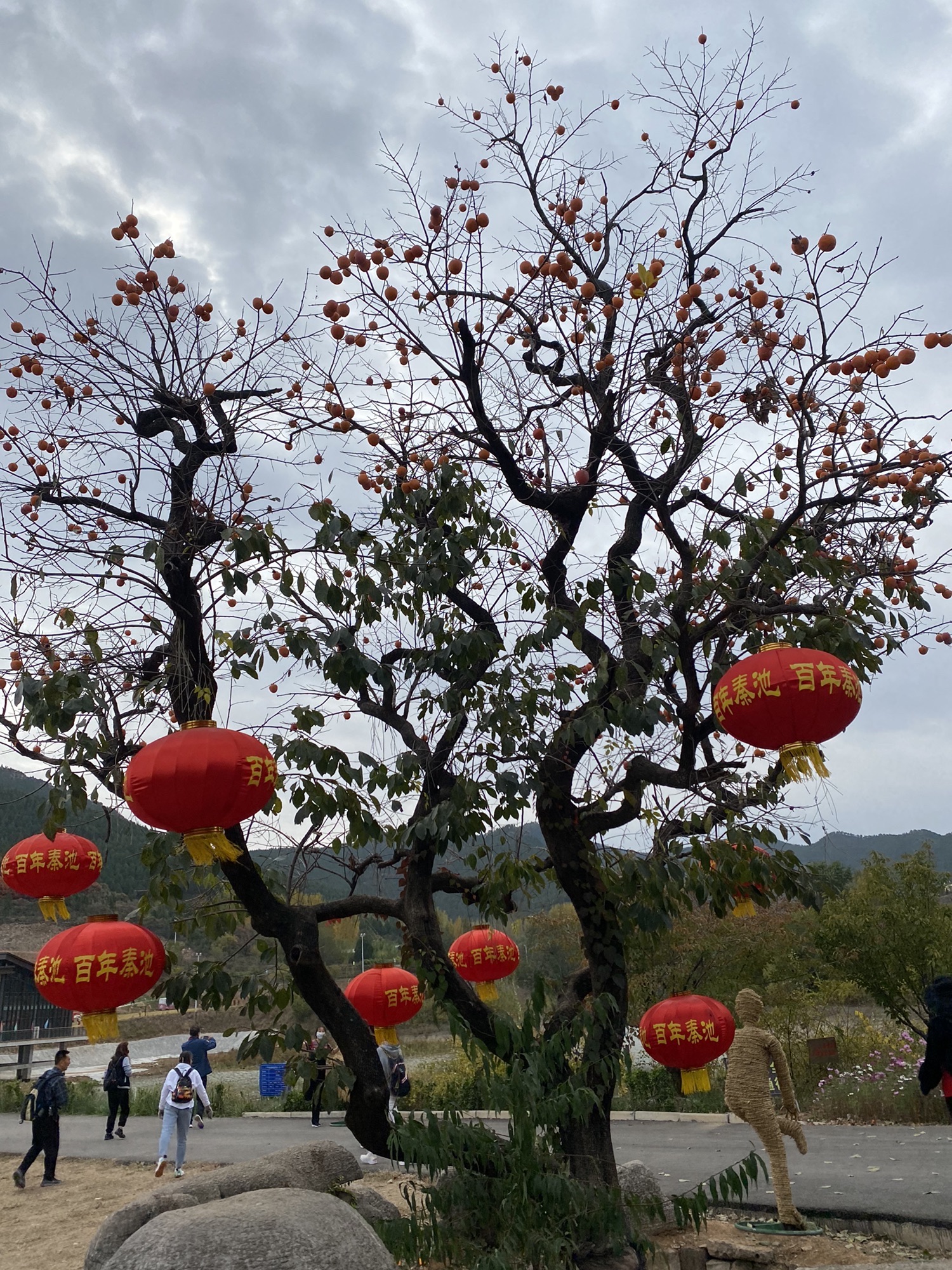 官护山景区旅行图片 1