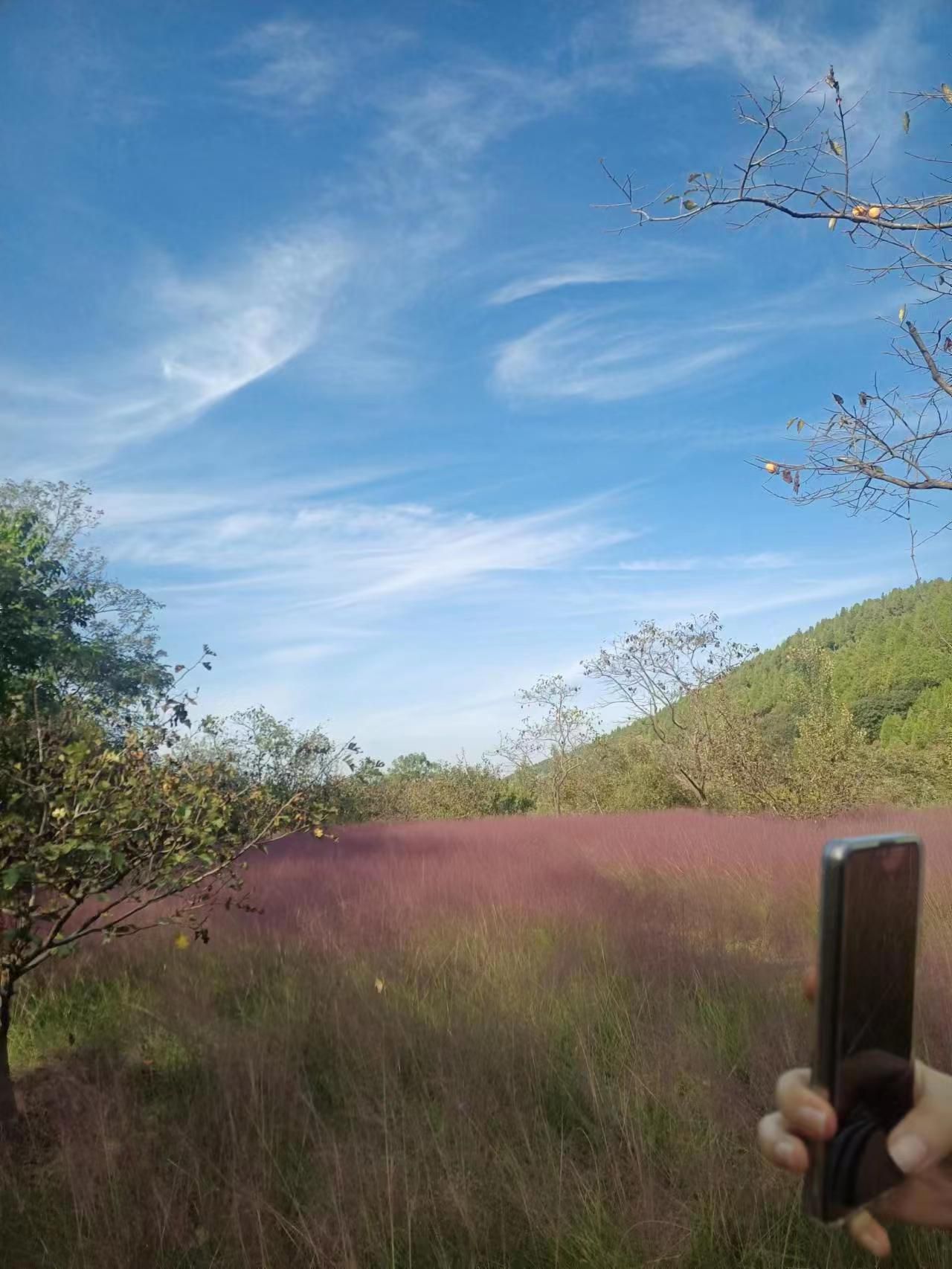 官护山景区旅行图片 1