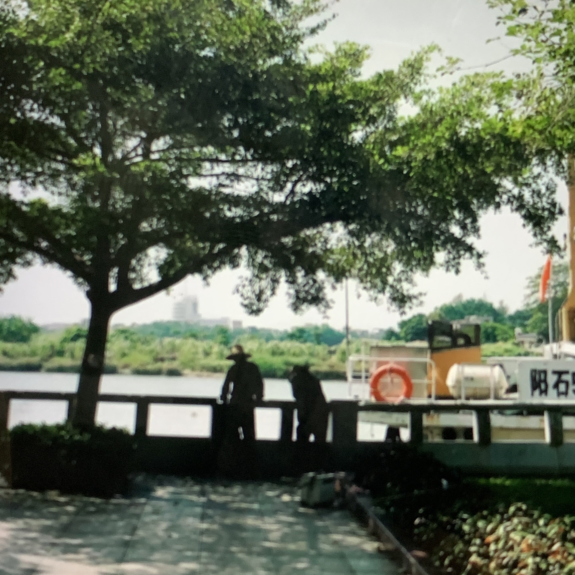 三廉公园旅行图片 1