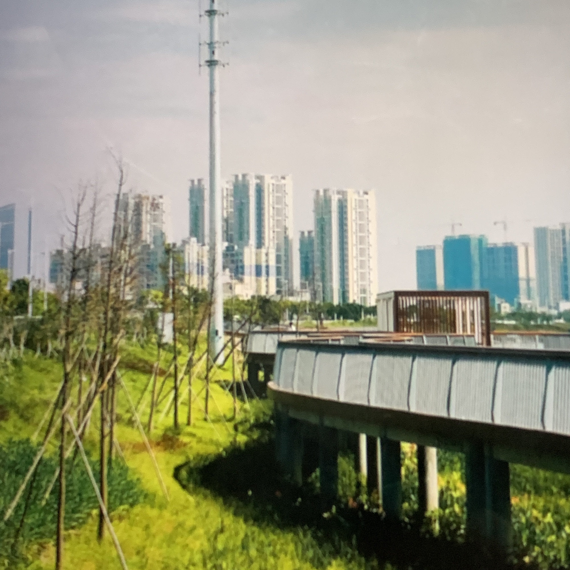 三廉公园旅行图片 2