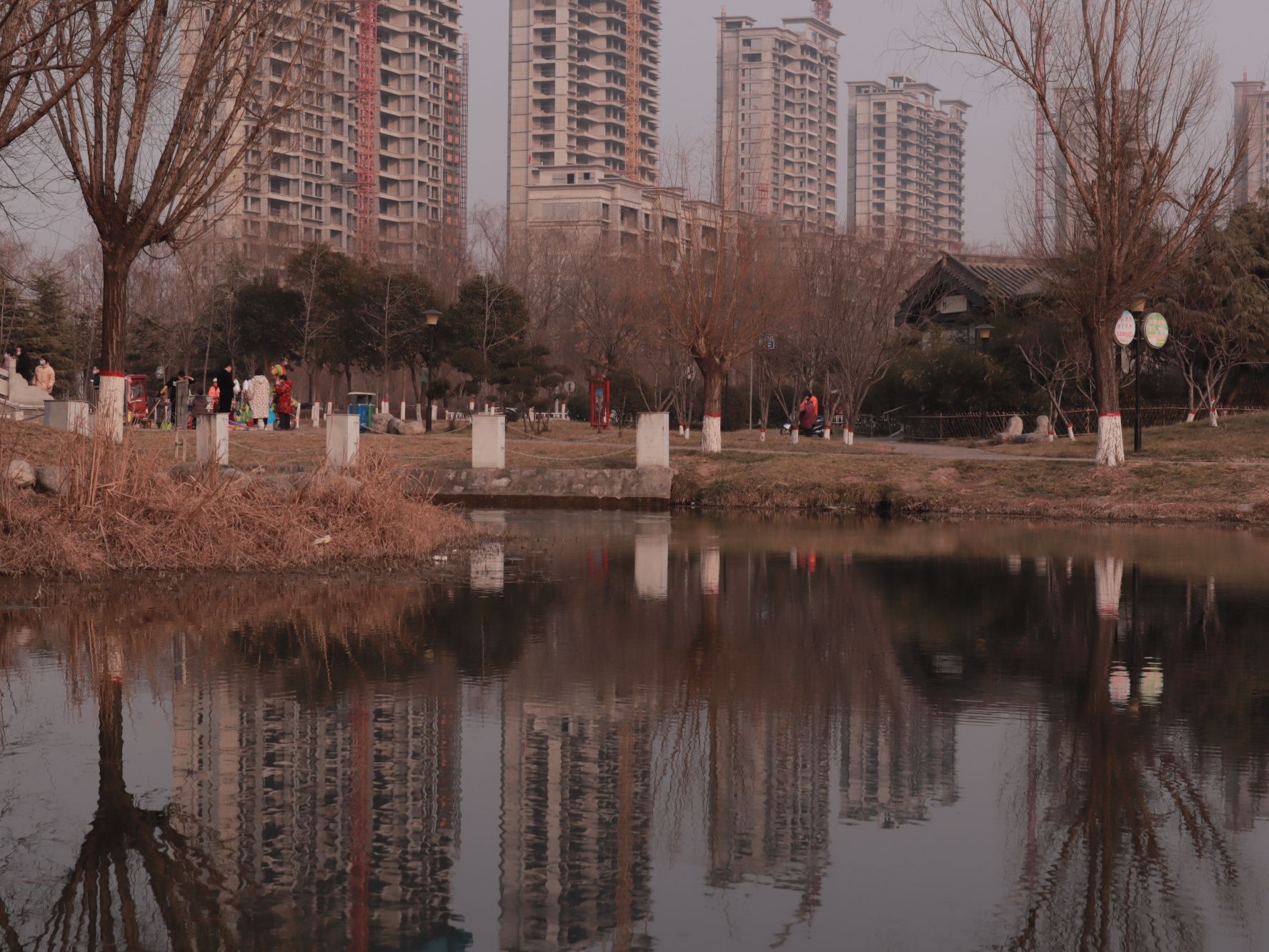 湿地公园旅行图片 2