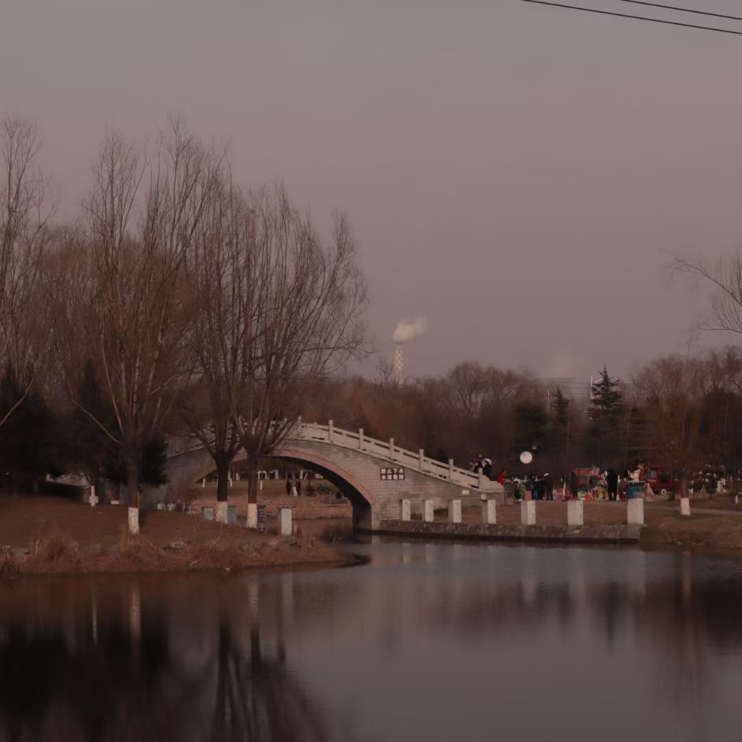 湿地公园旅行图片 3