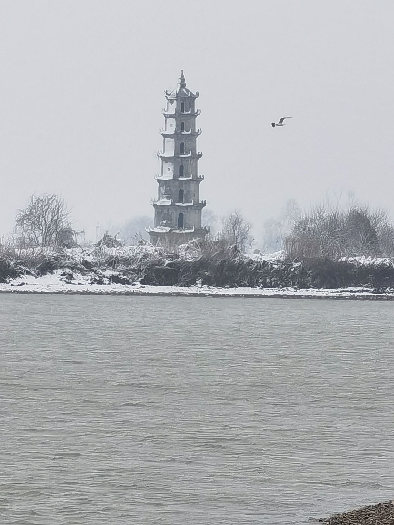 安澜阁南洞庭旅游码头旅行图片 3