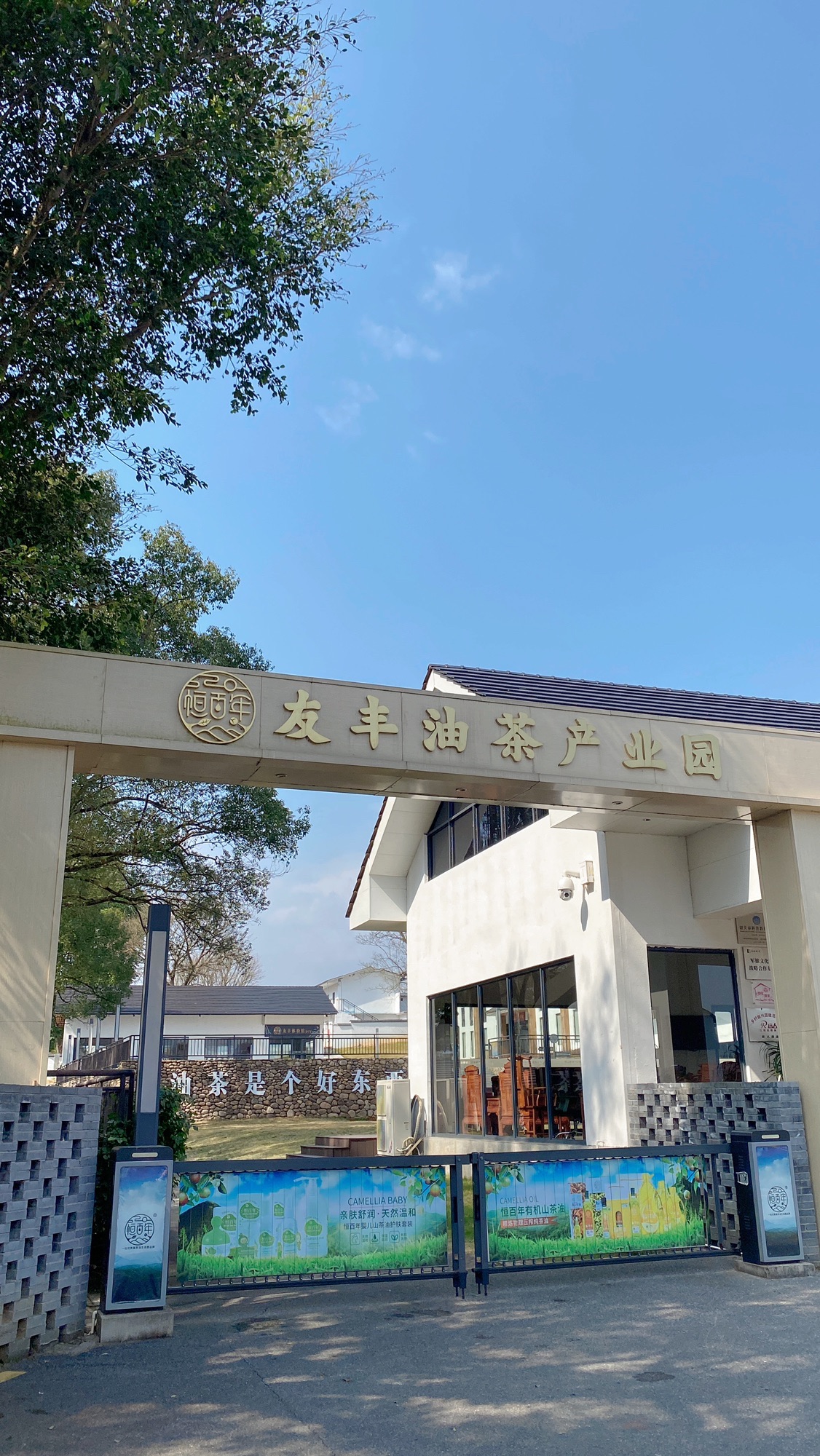 茶花森林公园旅行图片 1