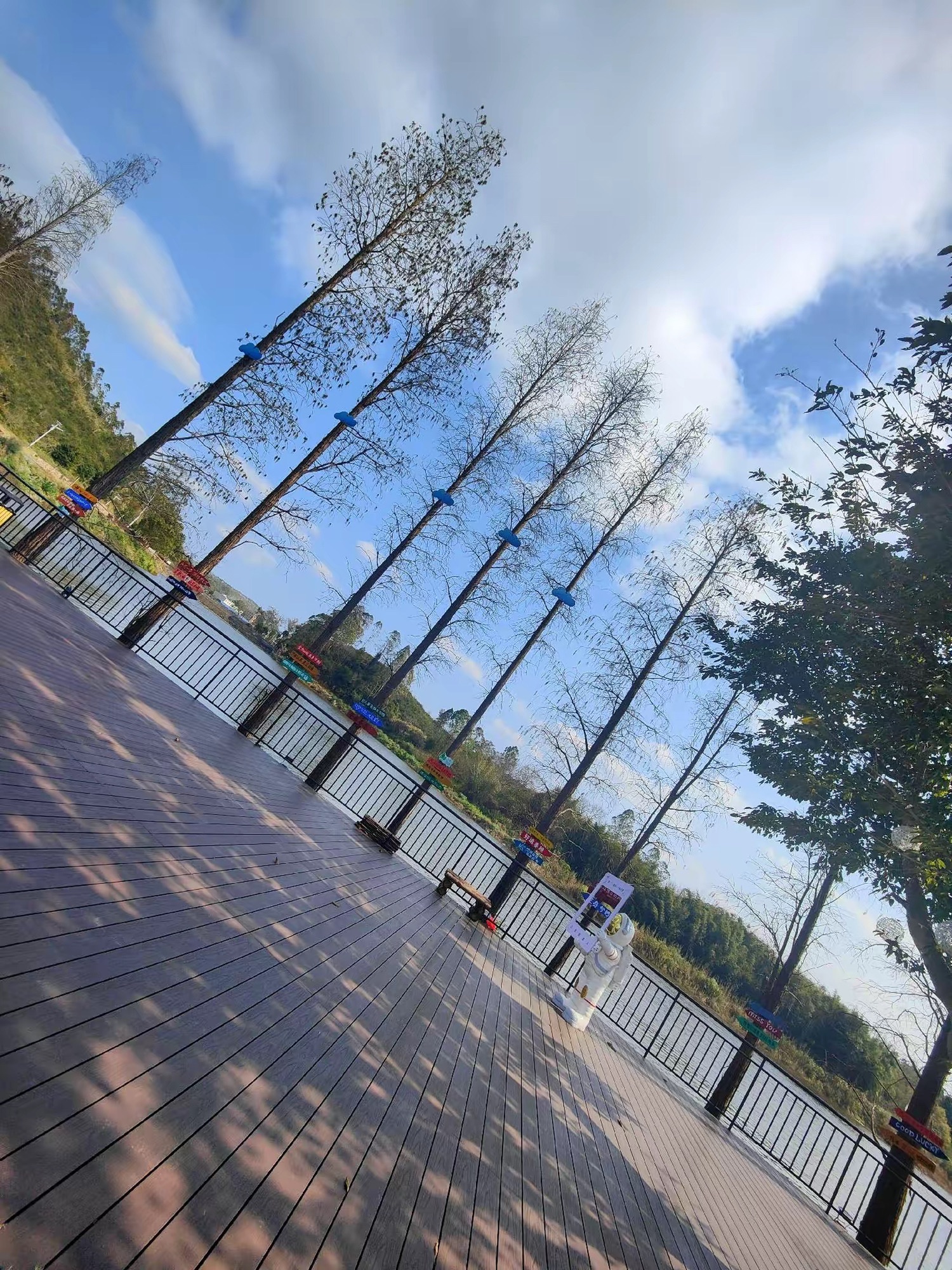 茶花森林公园旅行图片 2