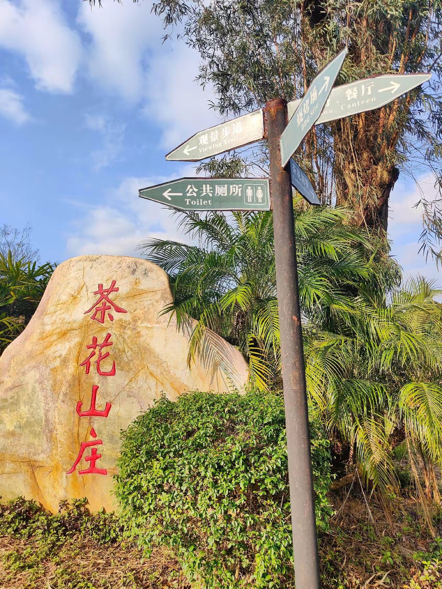 茶花森林公园旅行图片 1