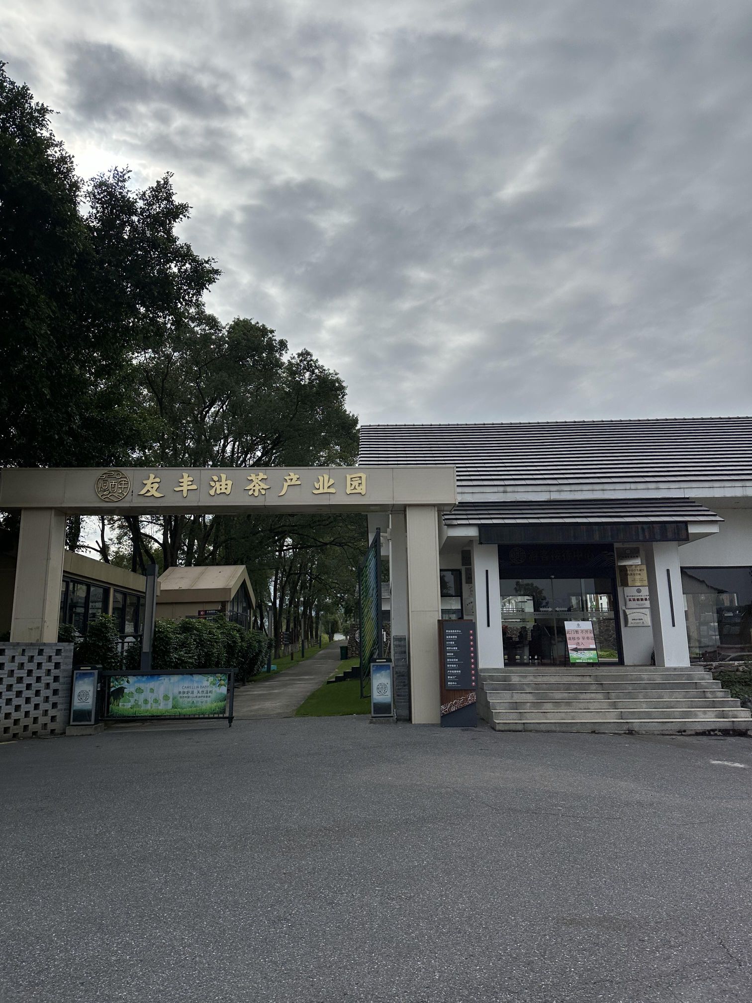 茶花森林公园旅行图片 1