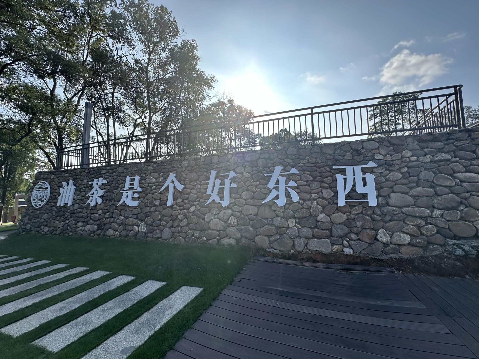 茶花森林公园旅行图片 3