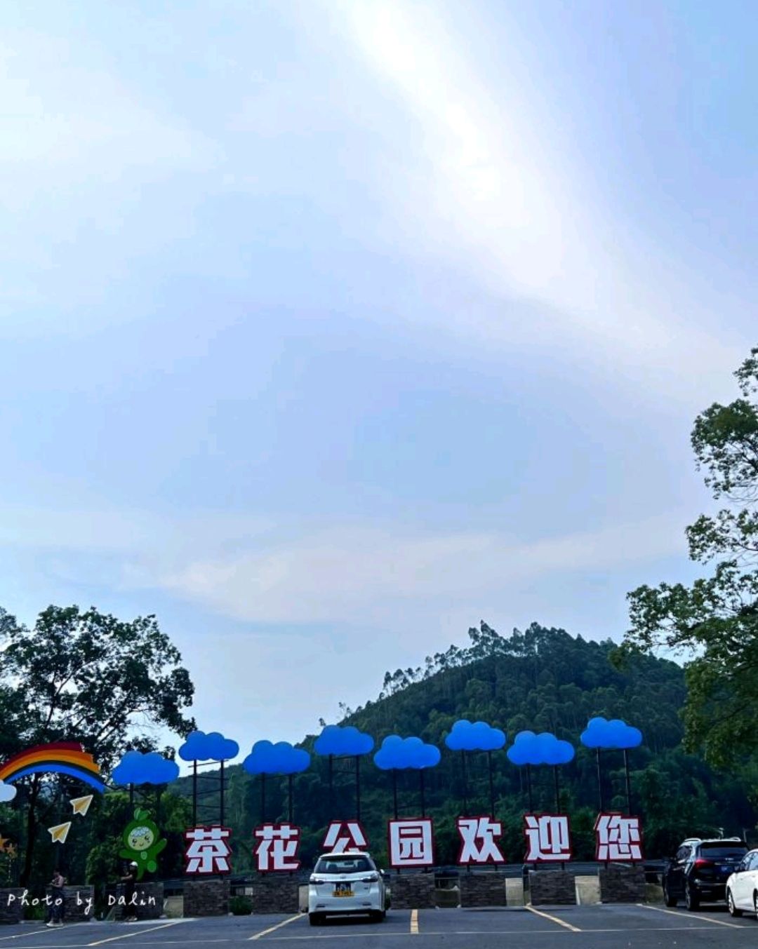 茶花森林公园旅行图片 3