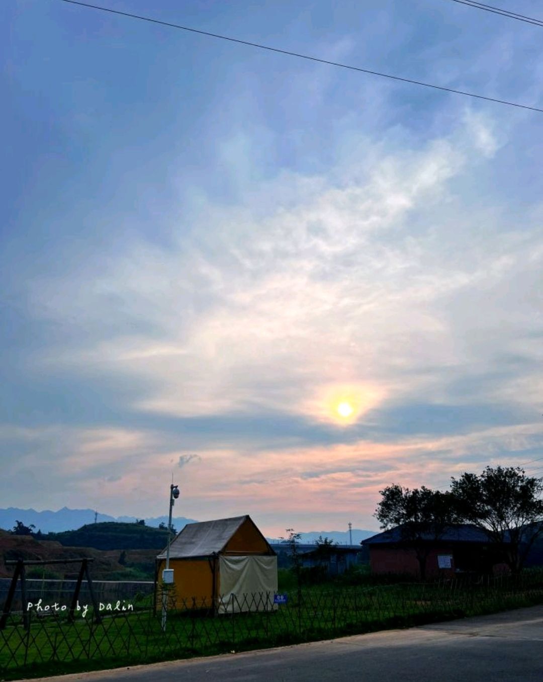茶花森林公园旅行图片 2
