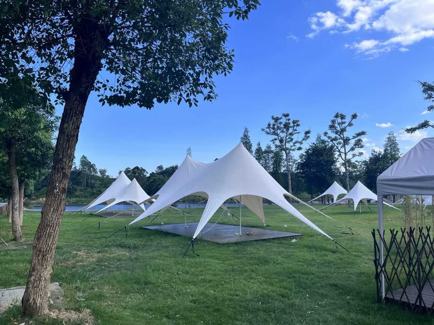 茶花森林公园旅行图片 1