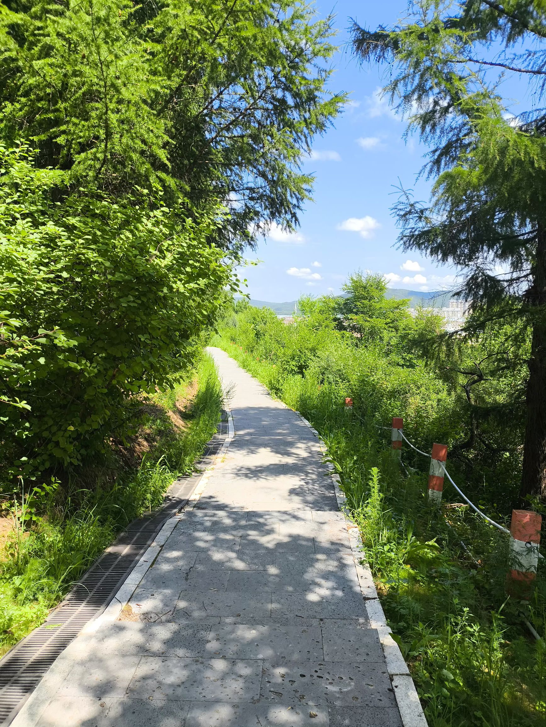 乌翠区南山森林公园