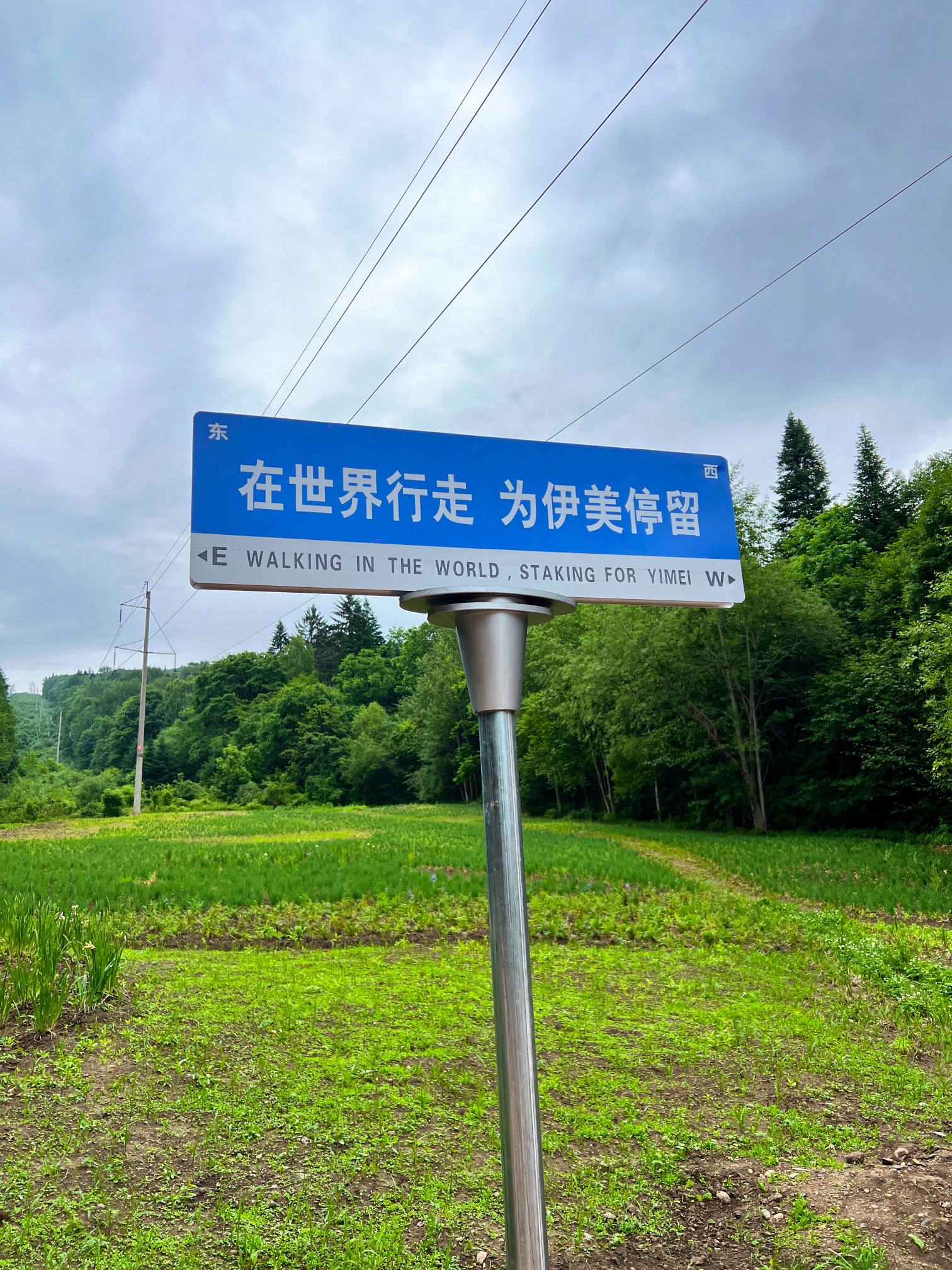 乌翠区南山森林公园