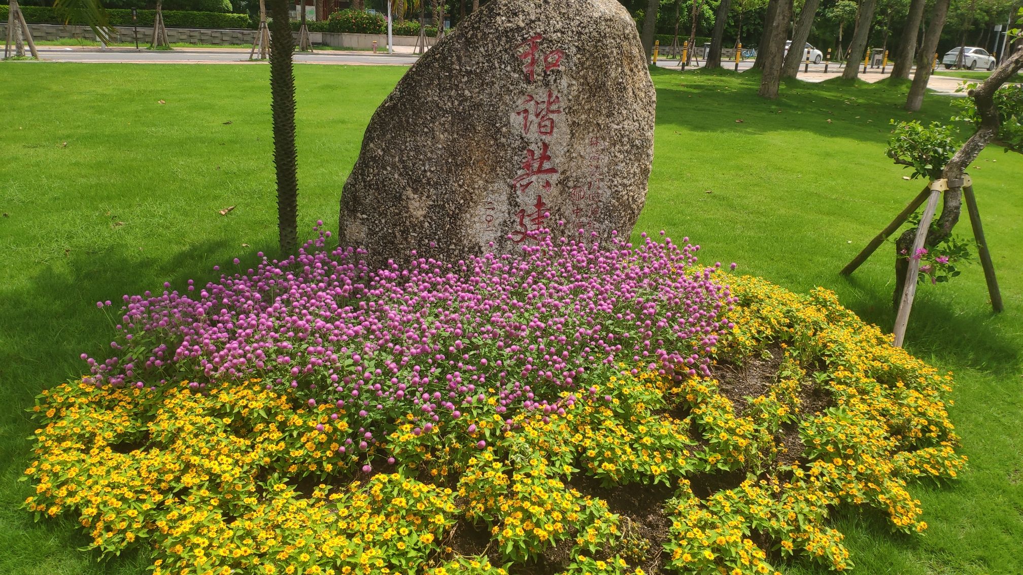 澳门回归纪念公园旅行图片 2