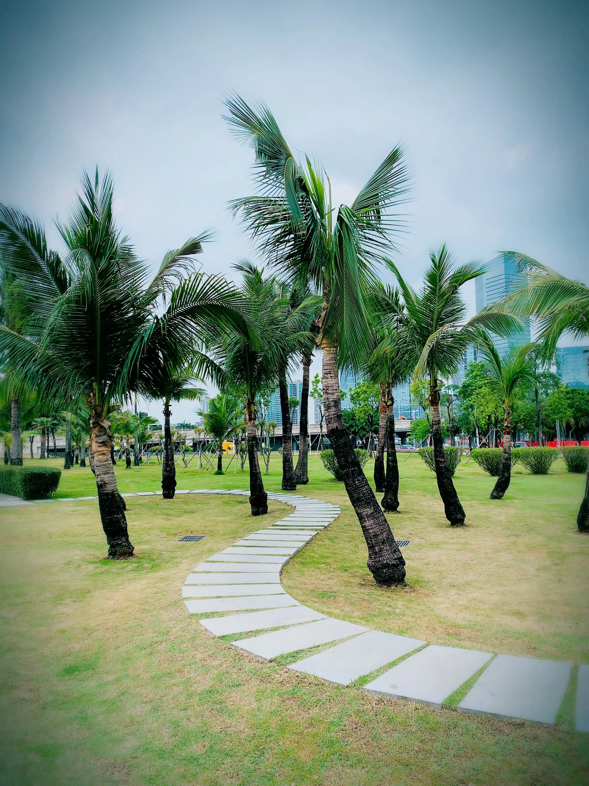 澳门回归纪念公园旅行图片 2