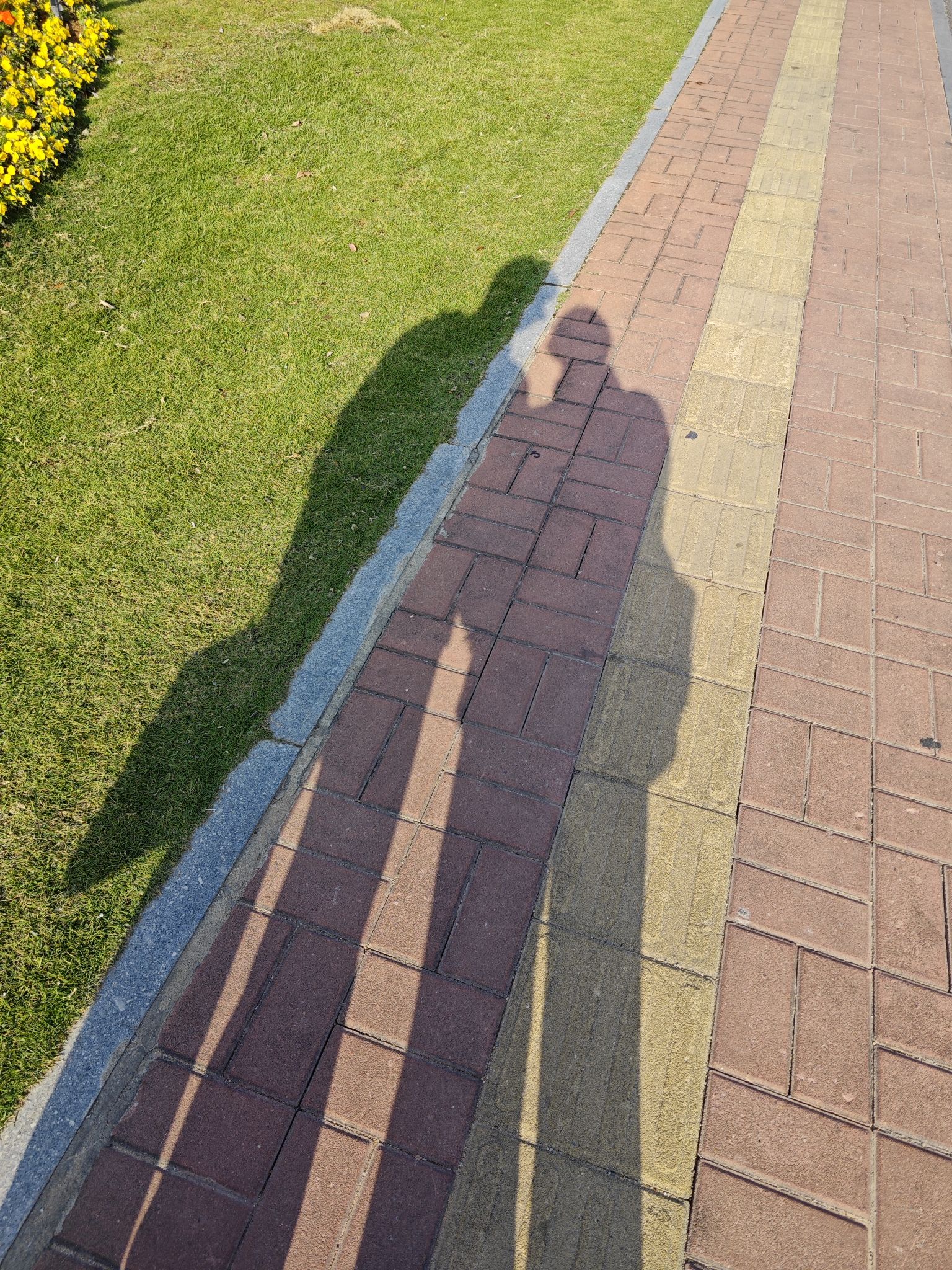 澳门回归纪念公园旅行图片 3