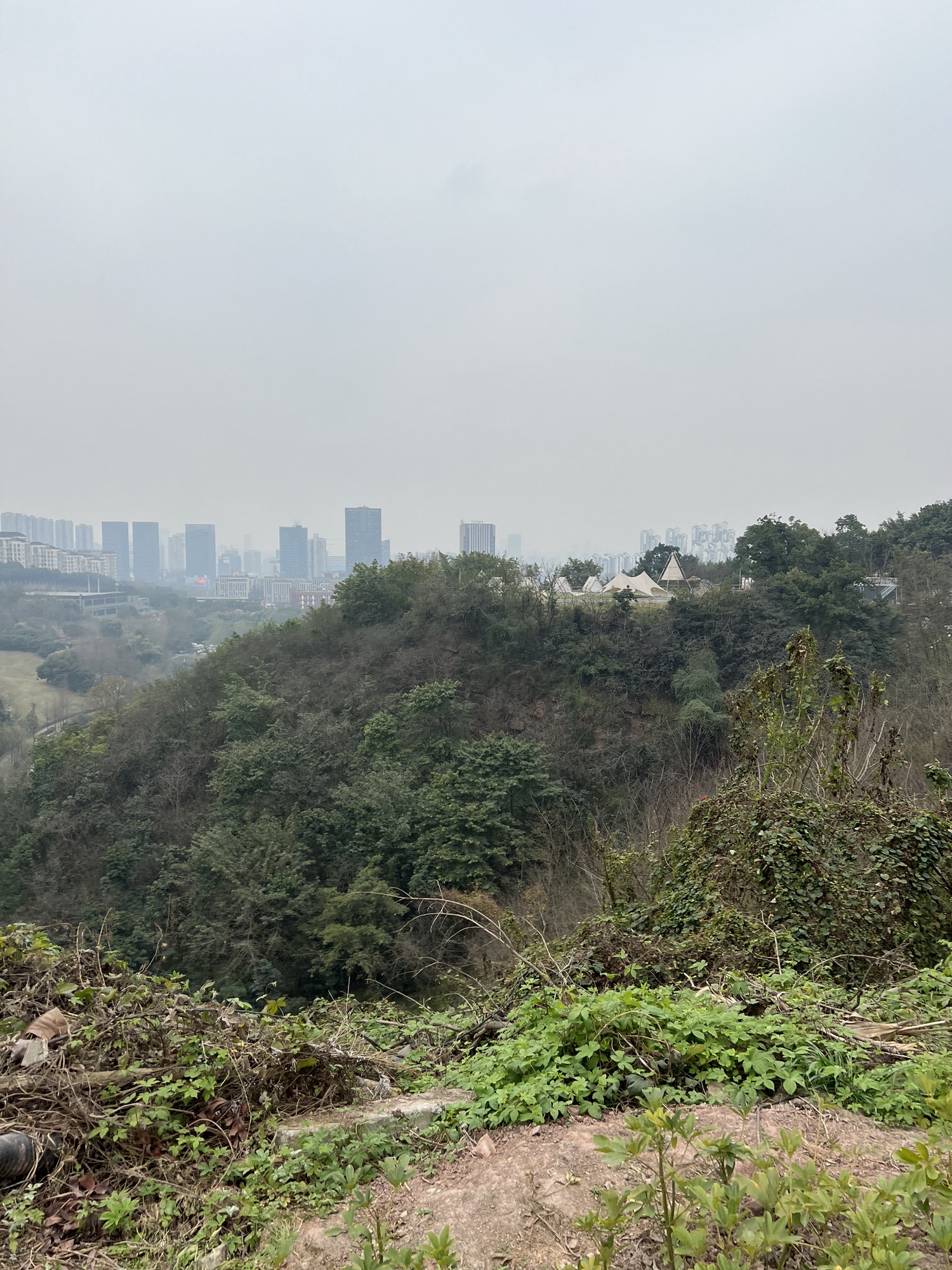 颐和生态公园旅行图片 3