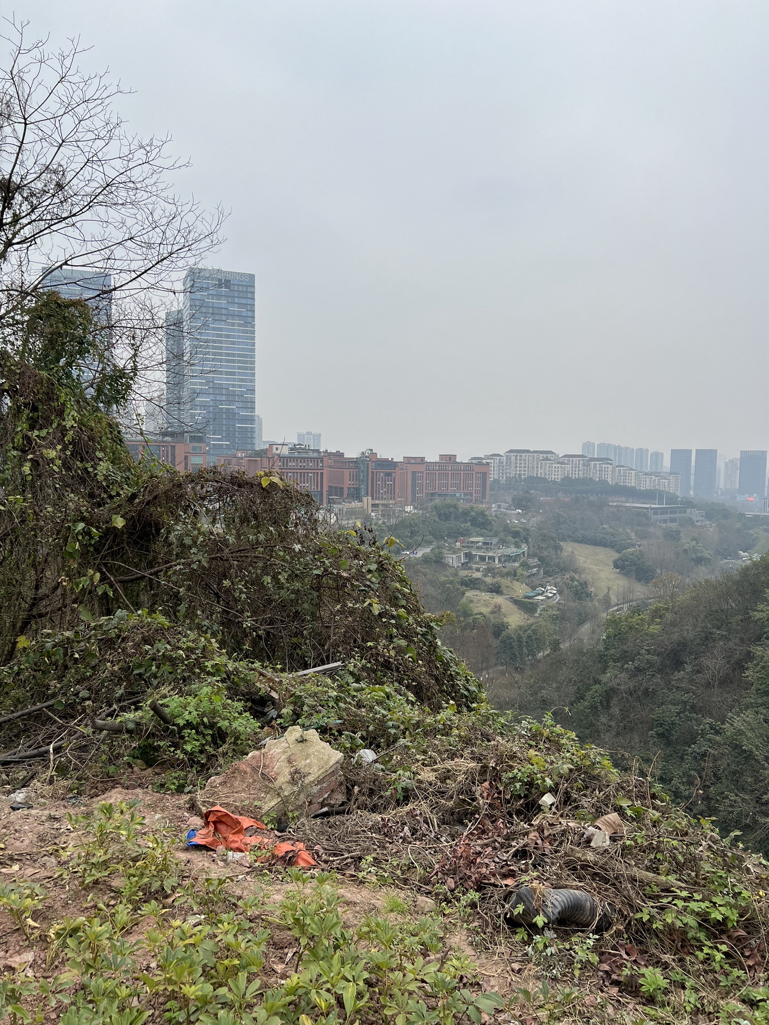 颐和生态公园旅行图片 2