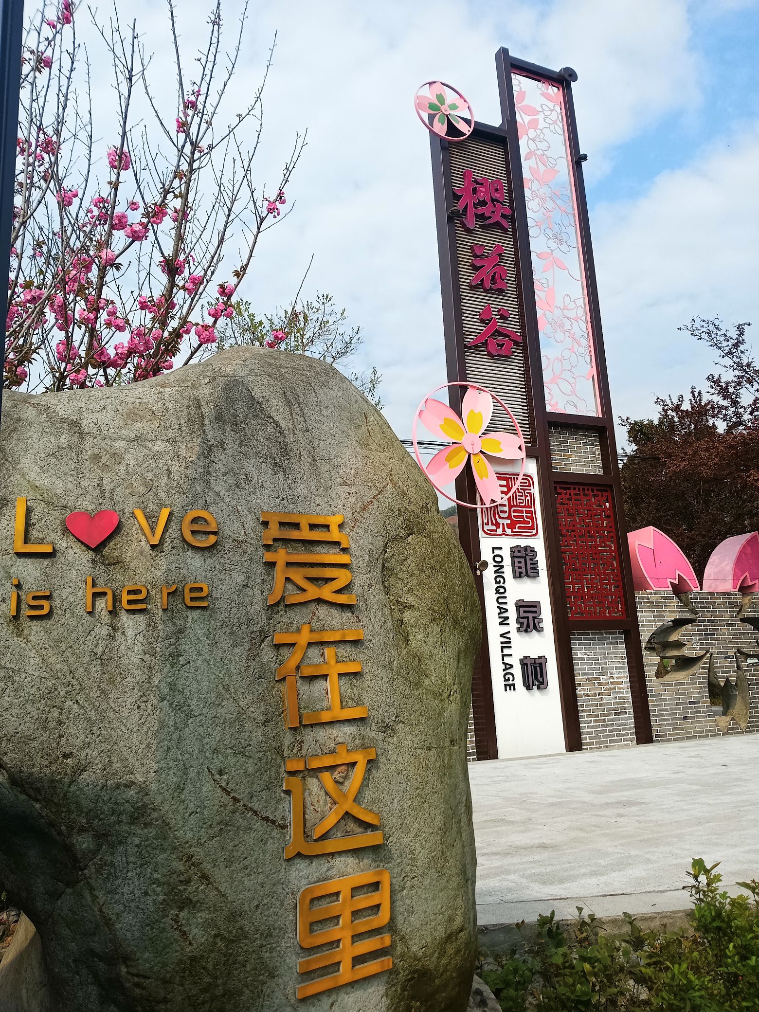龙泉村樱花谷旅行图片 2