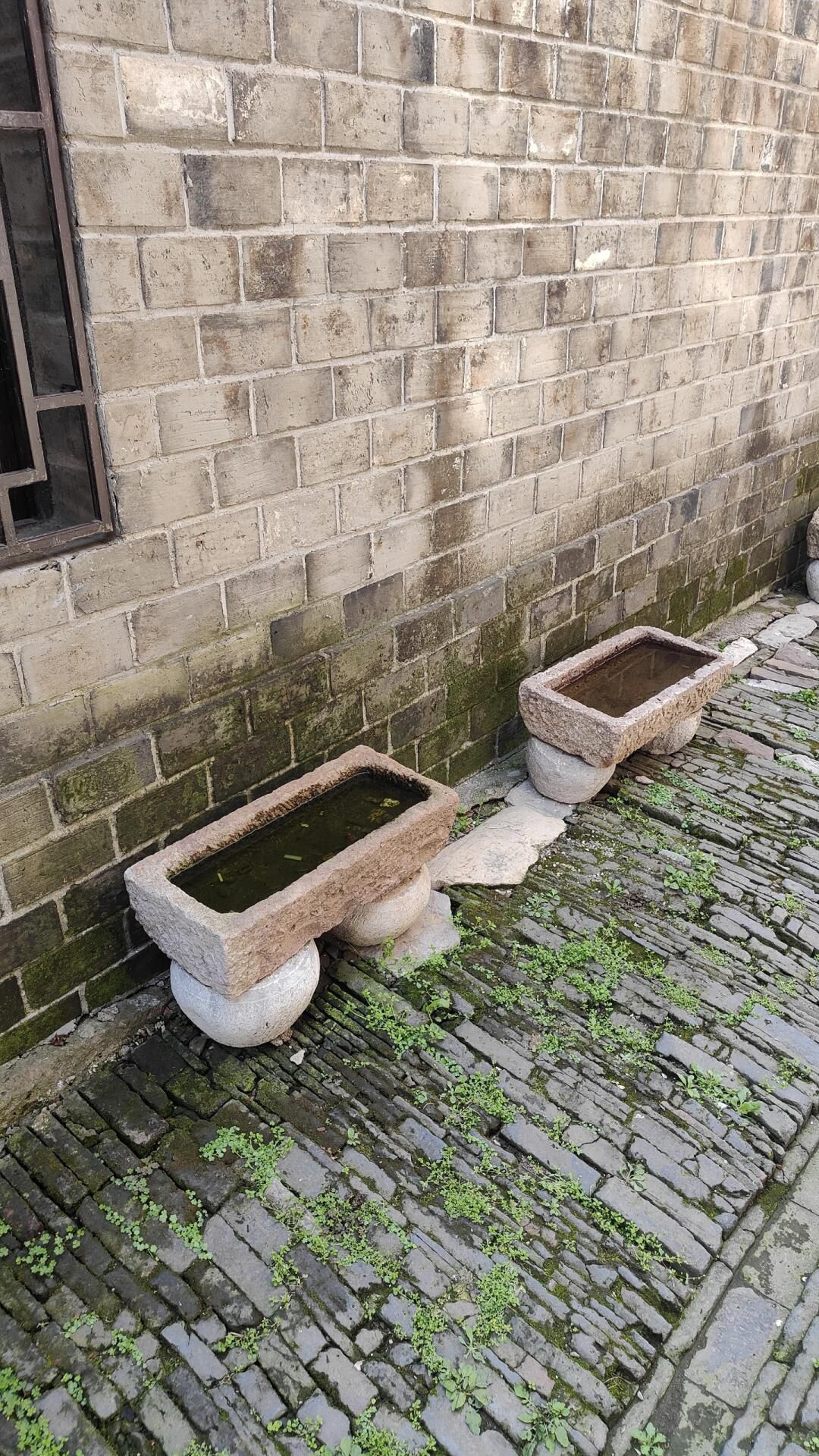 杨桥老街旅行图片 2