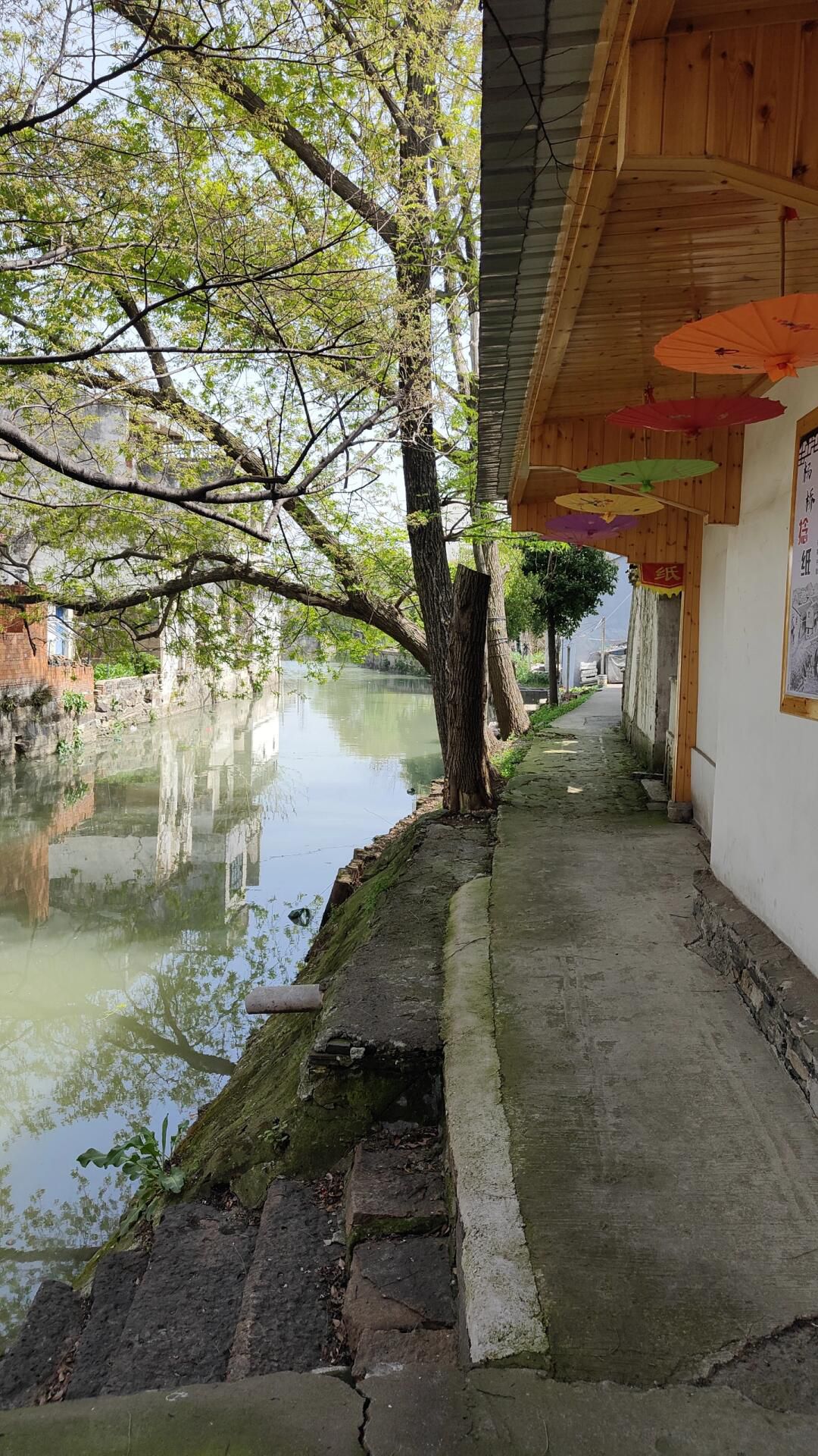 杨桥老街旅行图片 3