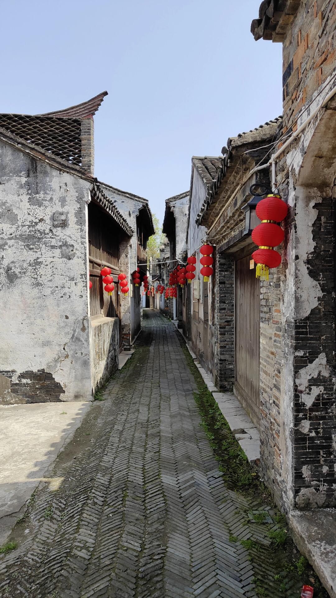 杨桥老街旅行图片 1