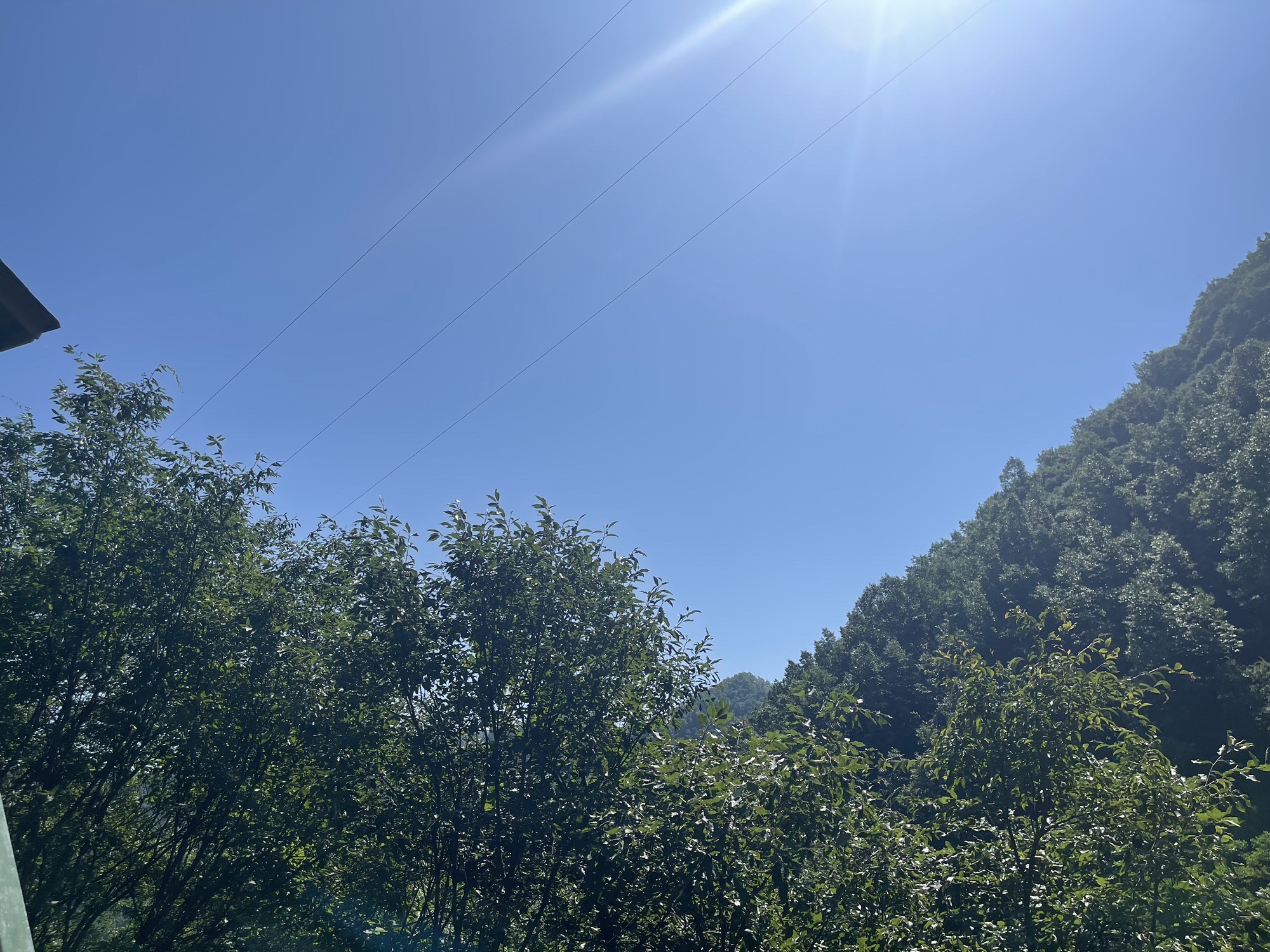 王府竹海度假旅游区旅行图片 3