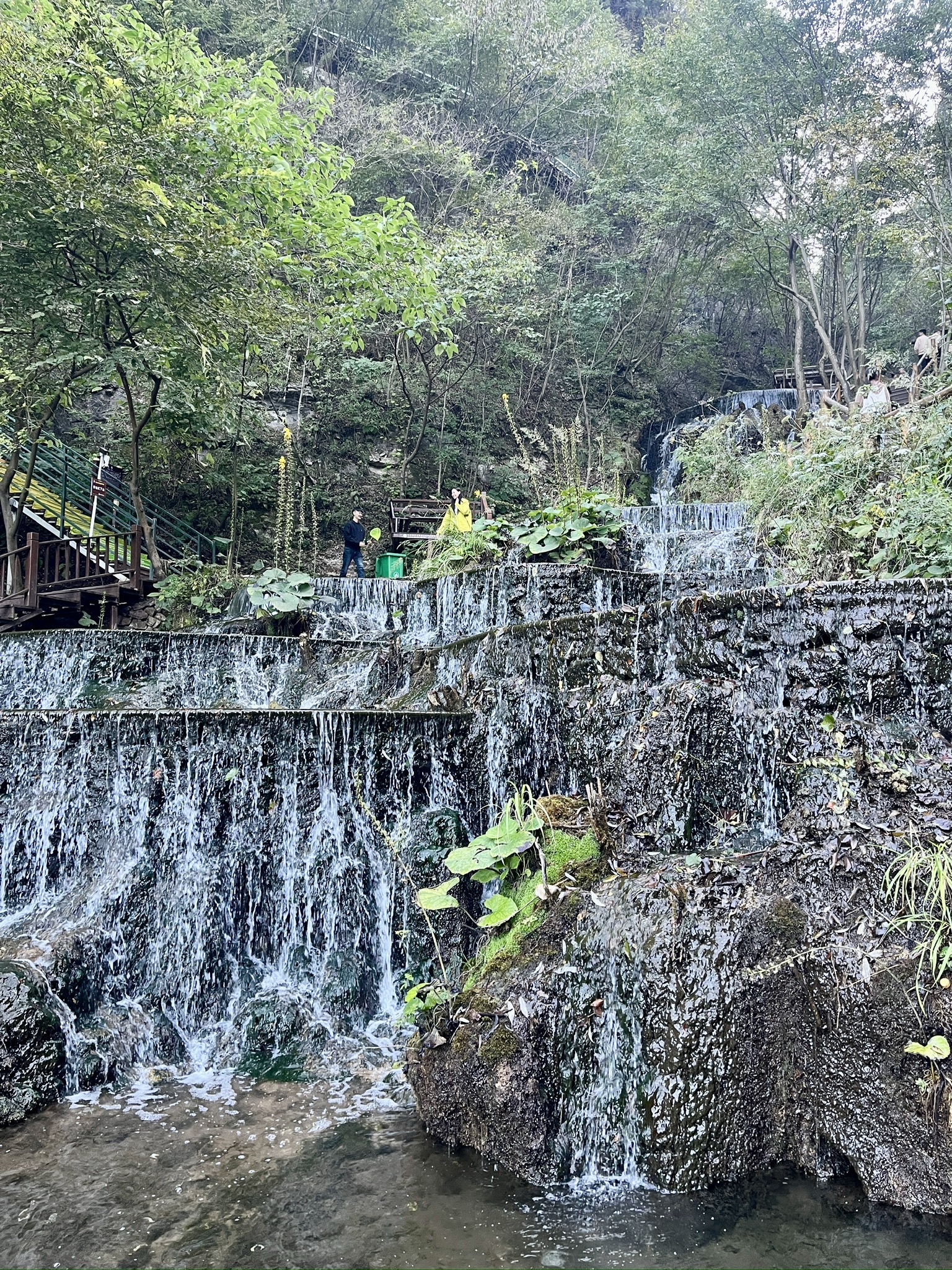 王府竹海度假旅游区旅行图片 2