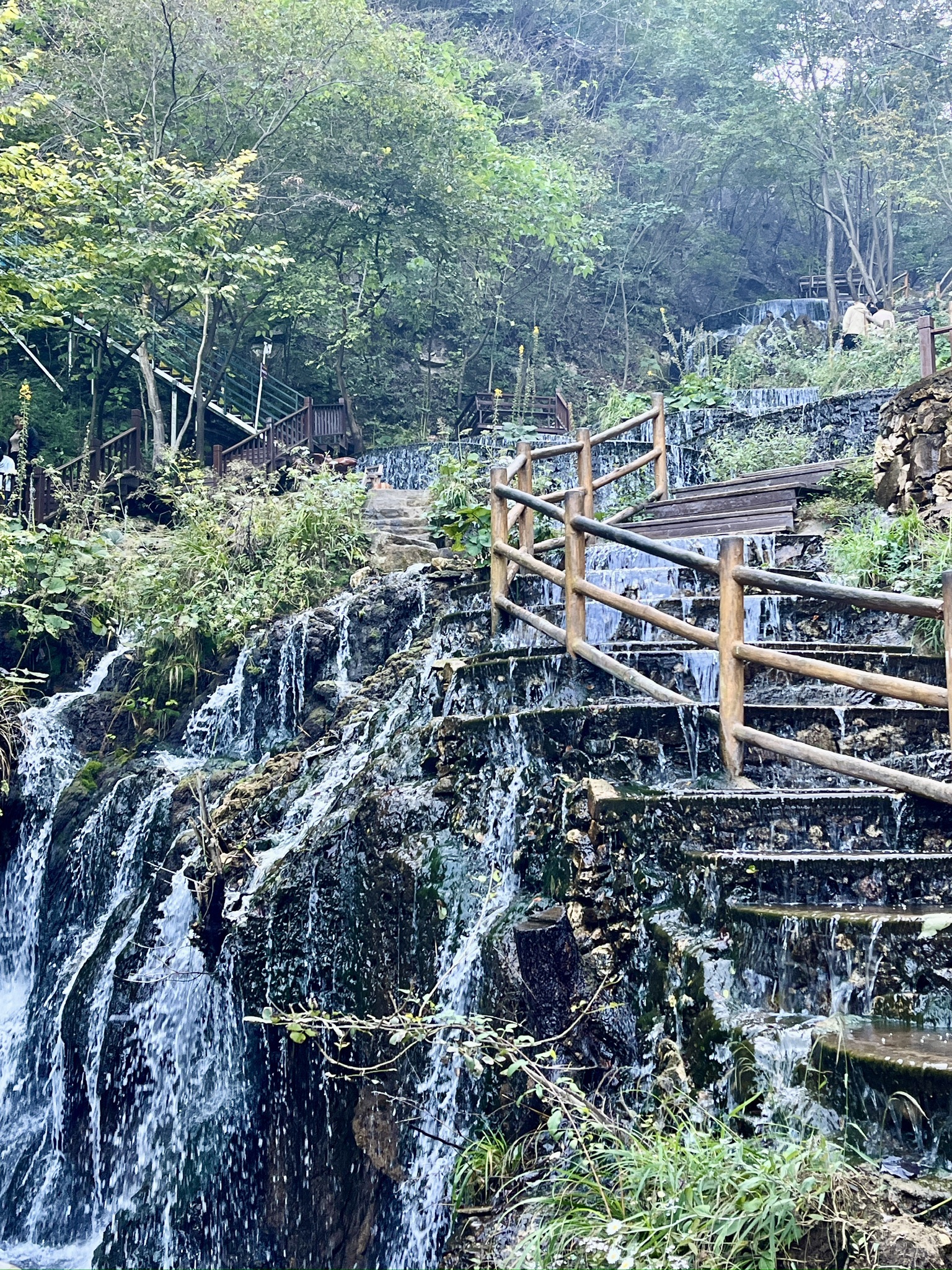 王府竹海度假旅游区旅行图片 3