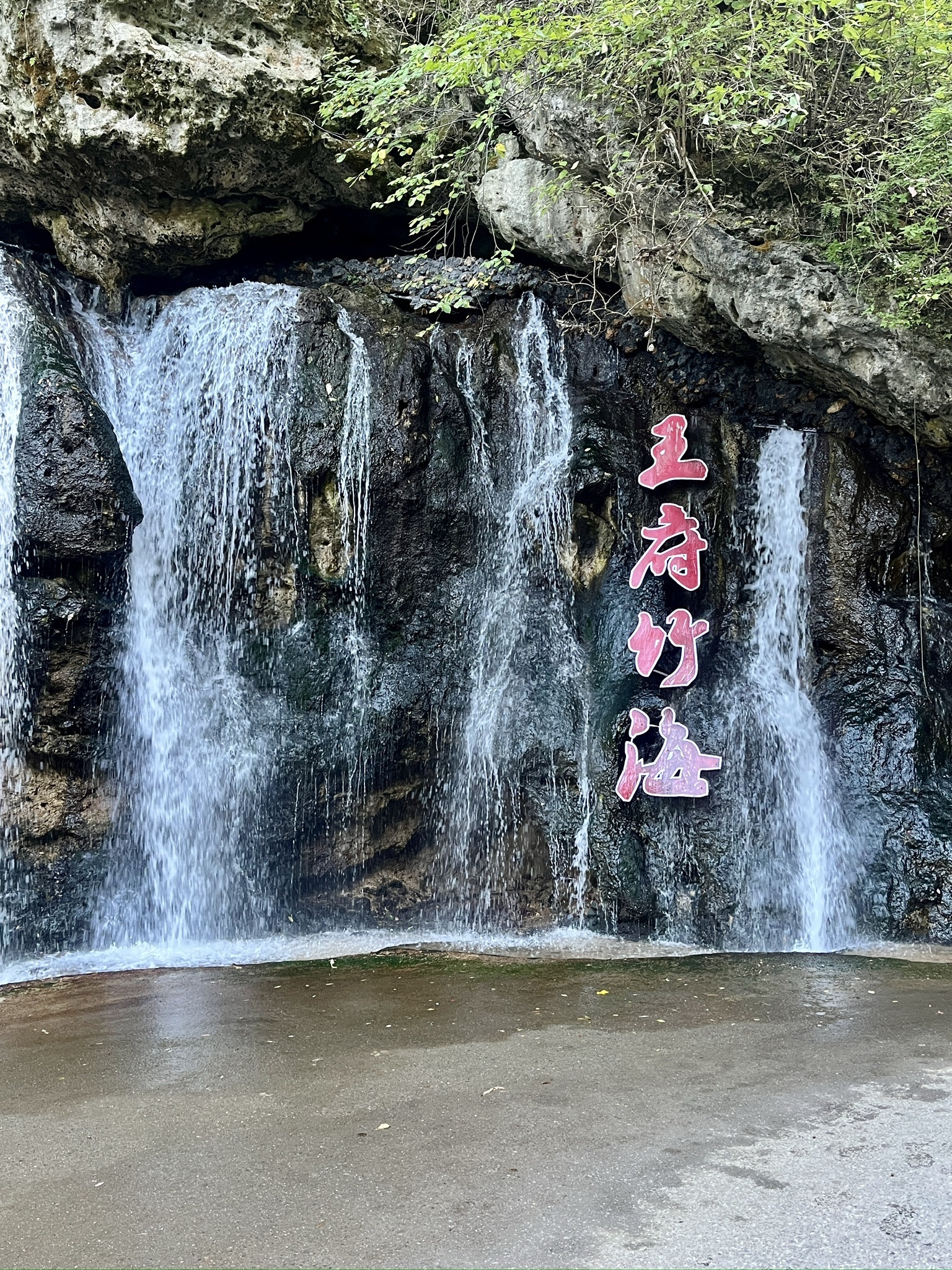 王府竹海度假旅游区旅行图片 1