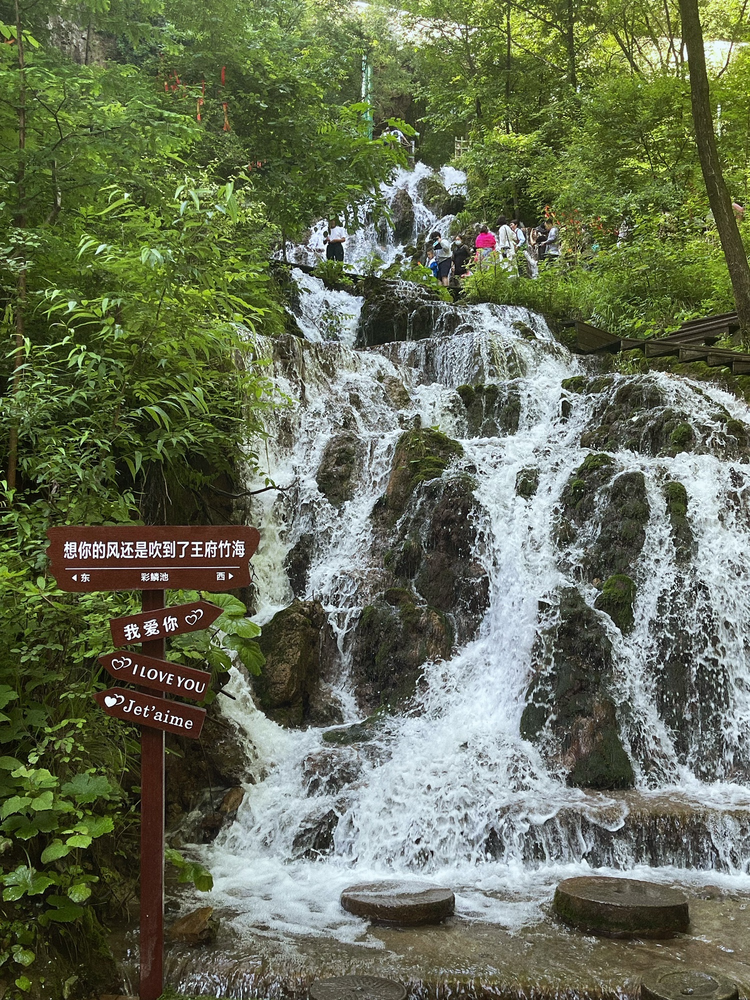 王府竹海度假旅游区旅行图片 2