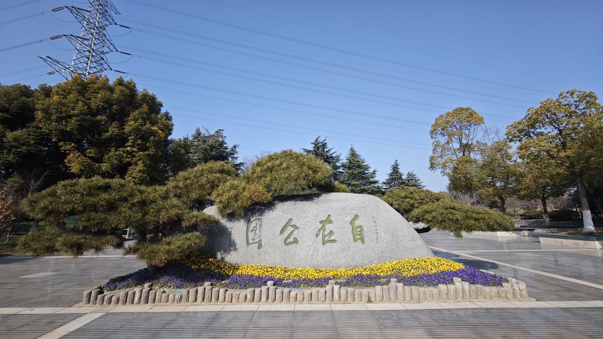 自在公园旅行图片 1