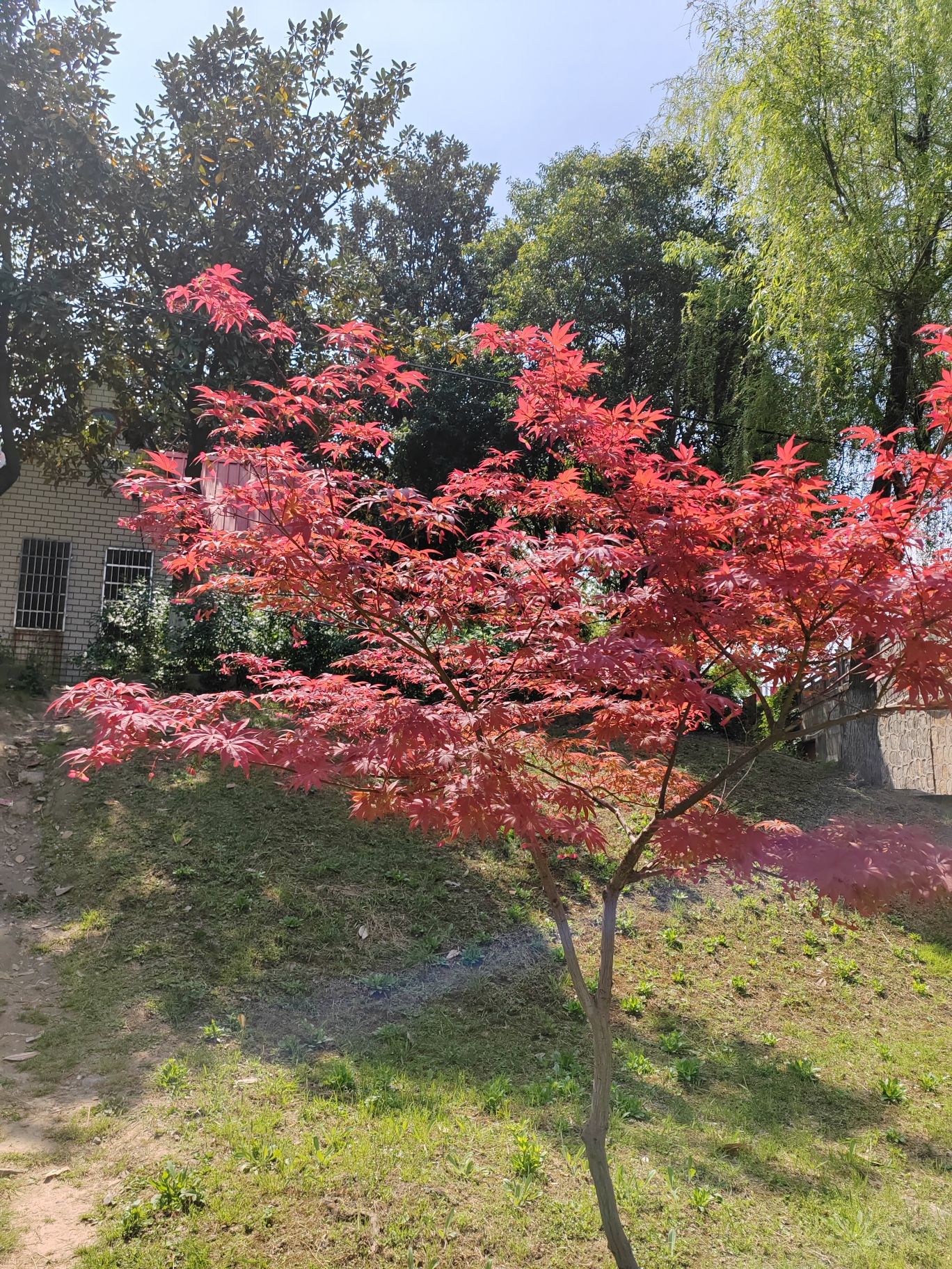 自在公园旅行图片 2