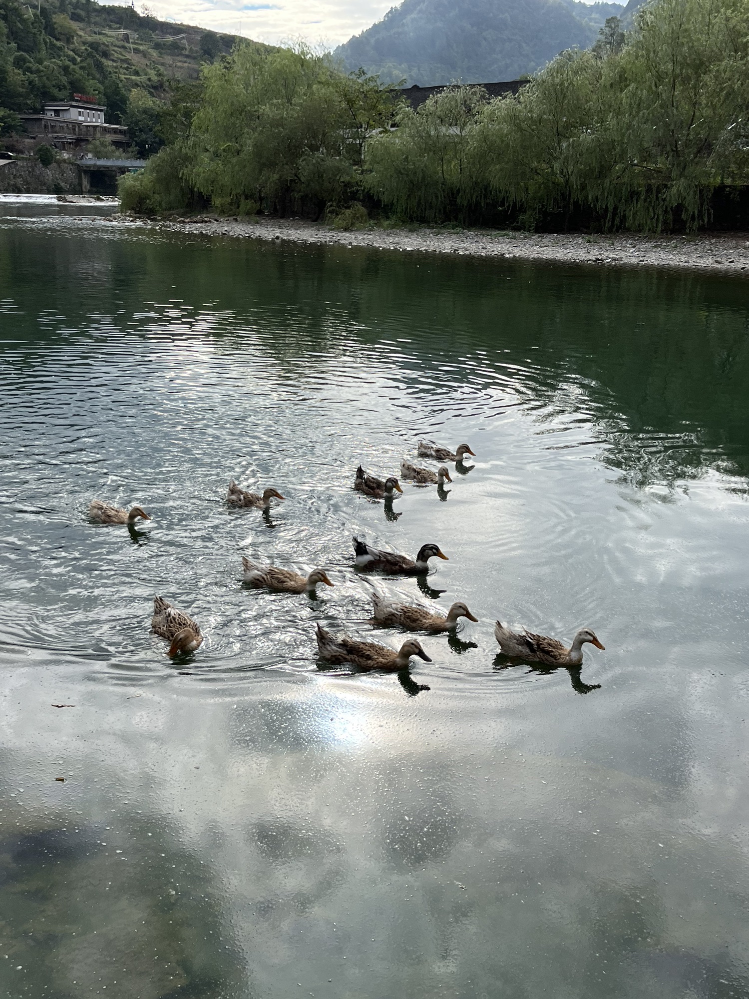清龙十里画廊水头寨旅行图片 2