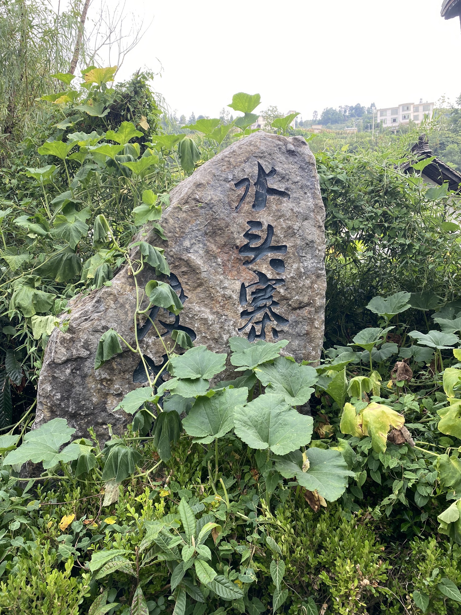 清龙十里画廊水头寨