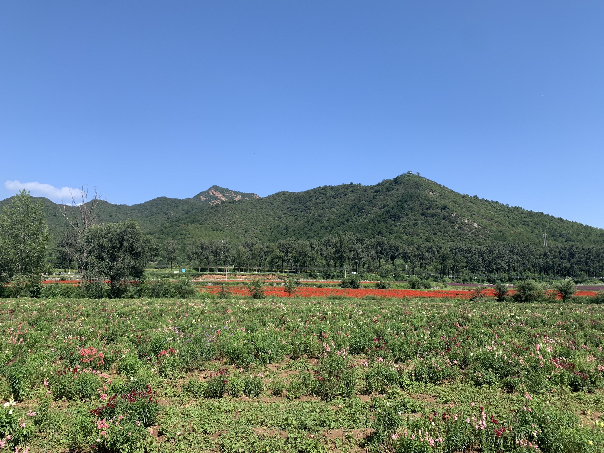 北齐岭观景台旅行图片 2