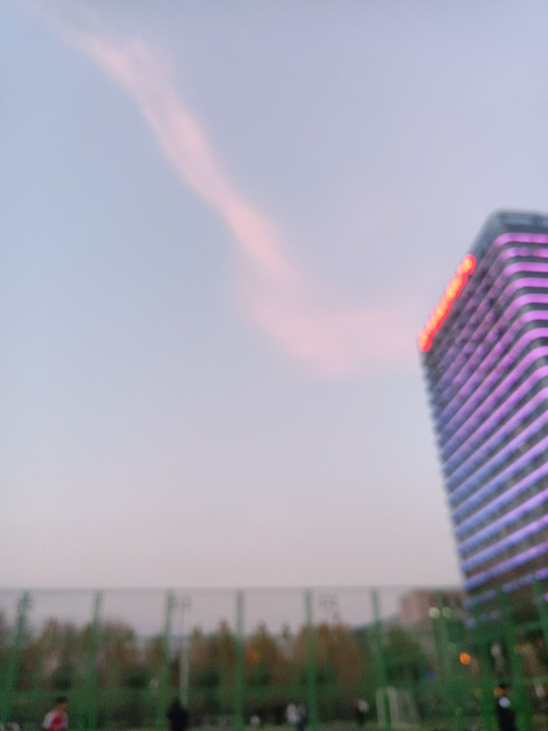 石家庄市体育公园旅行图片 2