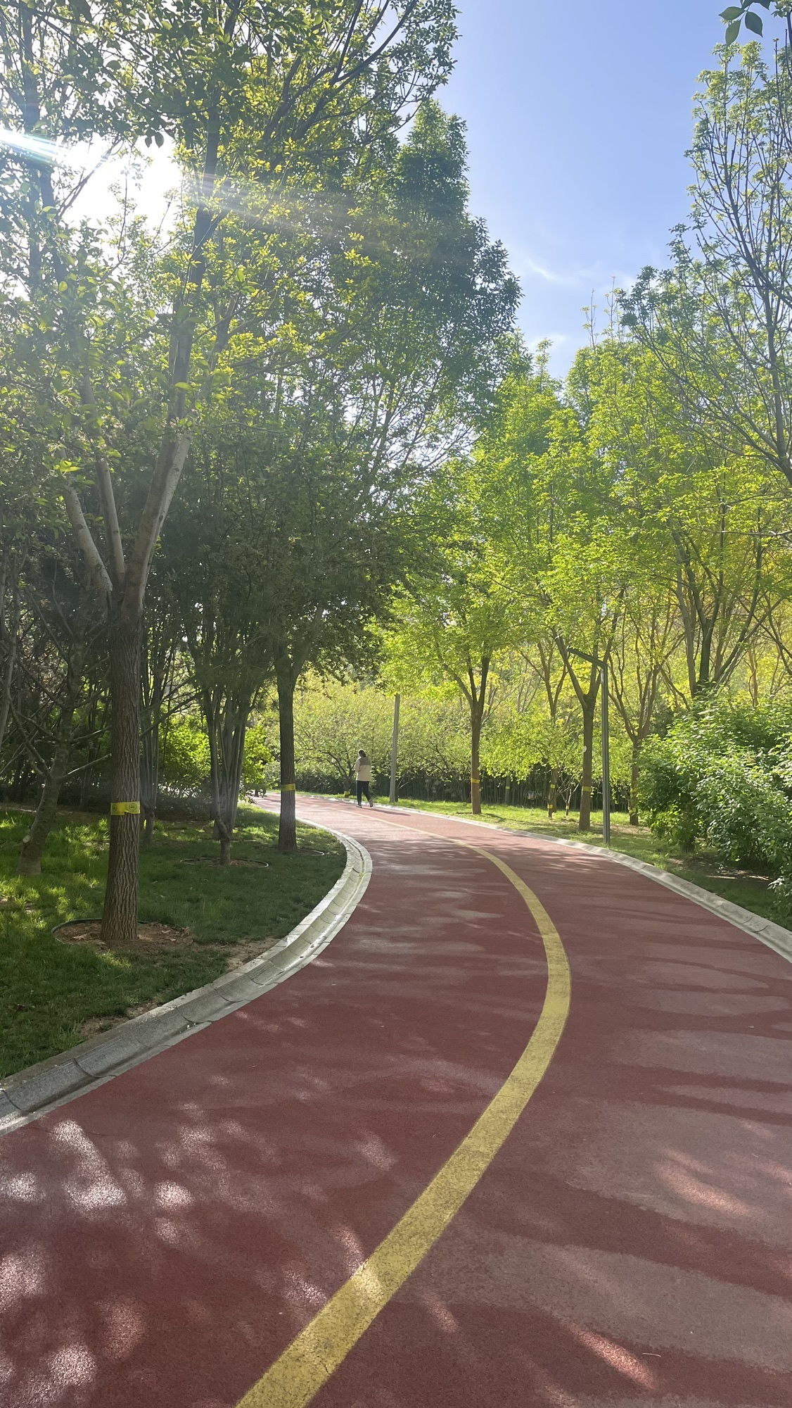 石家庄市体育公园旅行图片 3