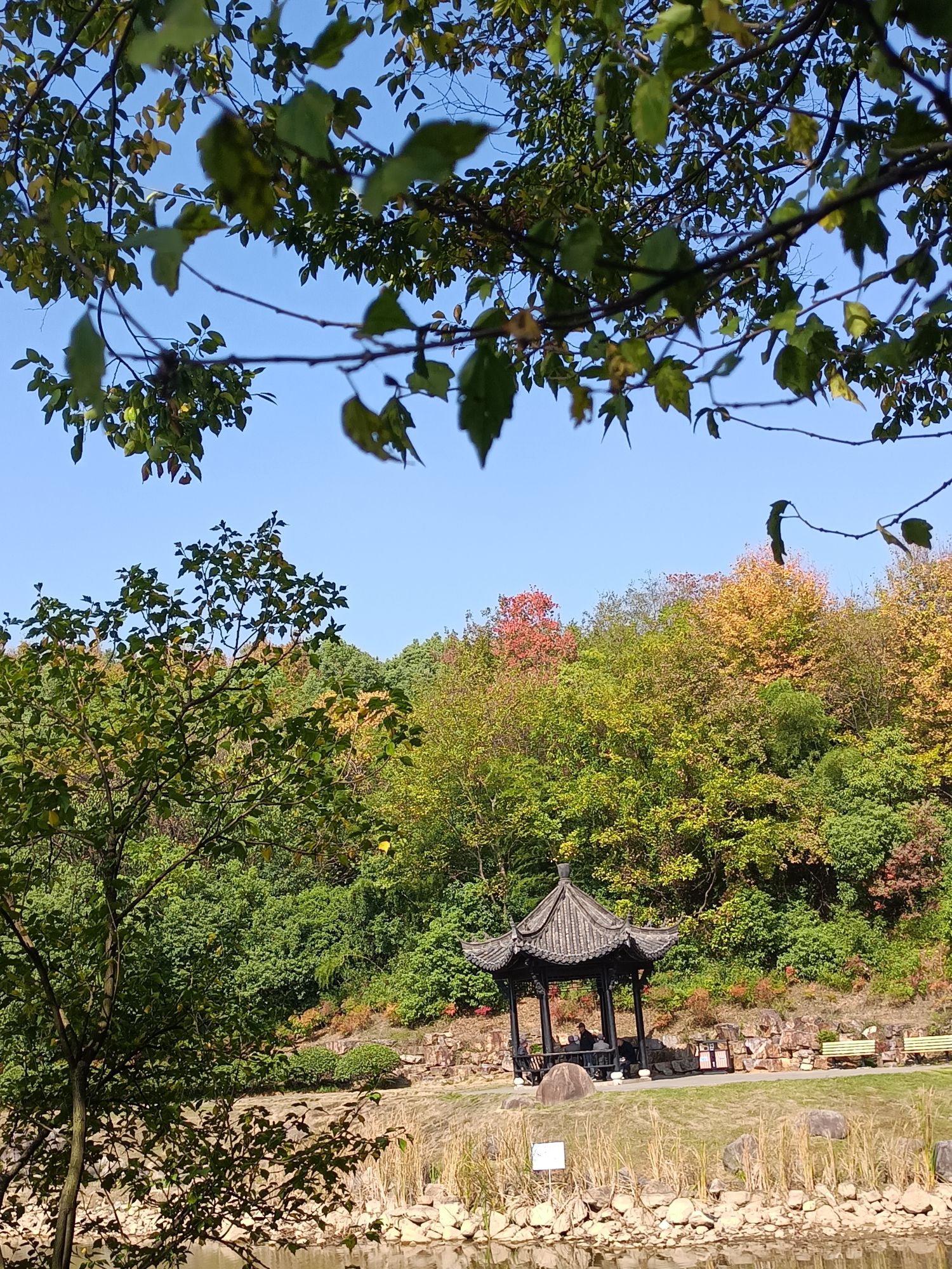三台山公园旅行图片 3
